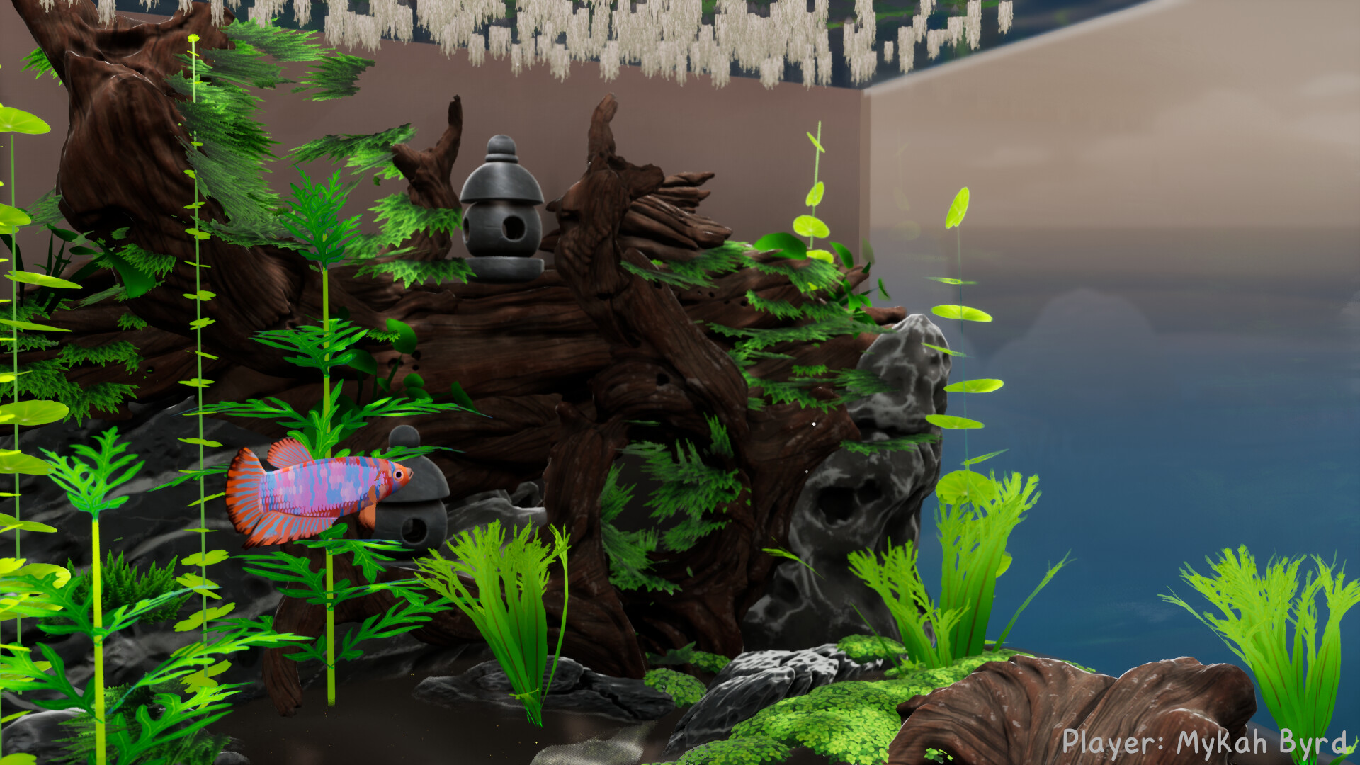 Fish Game screenshot 9