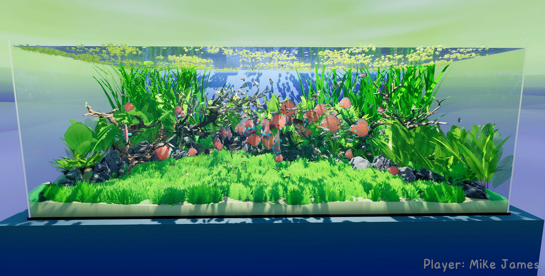 Fish Game screenshot 5