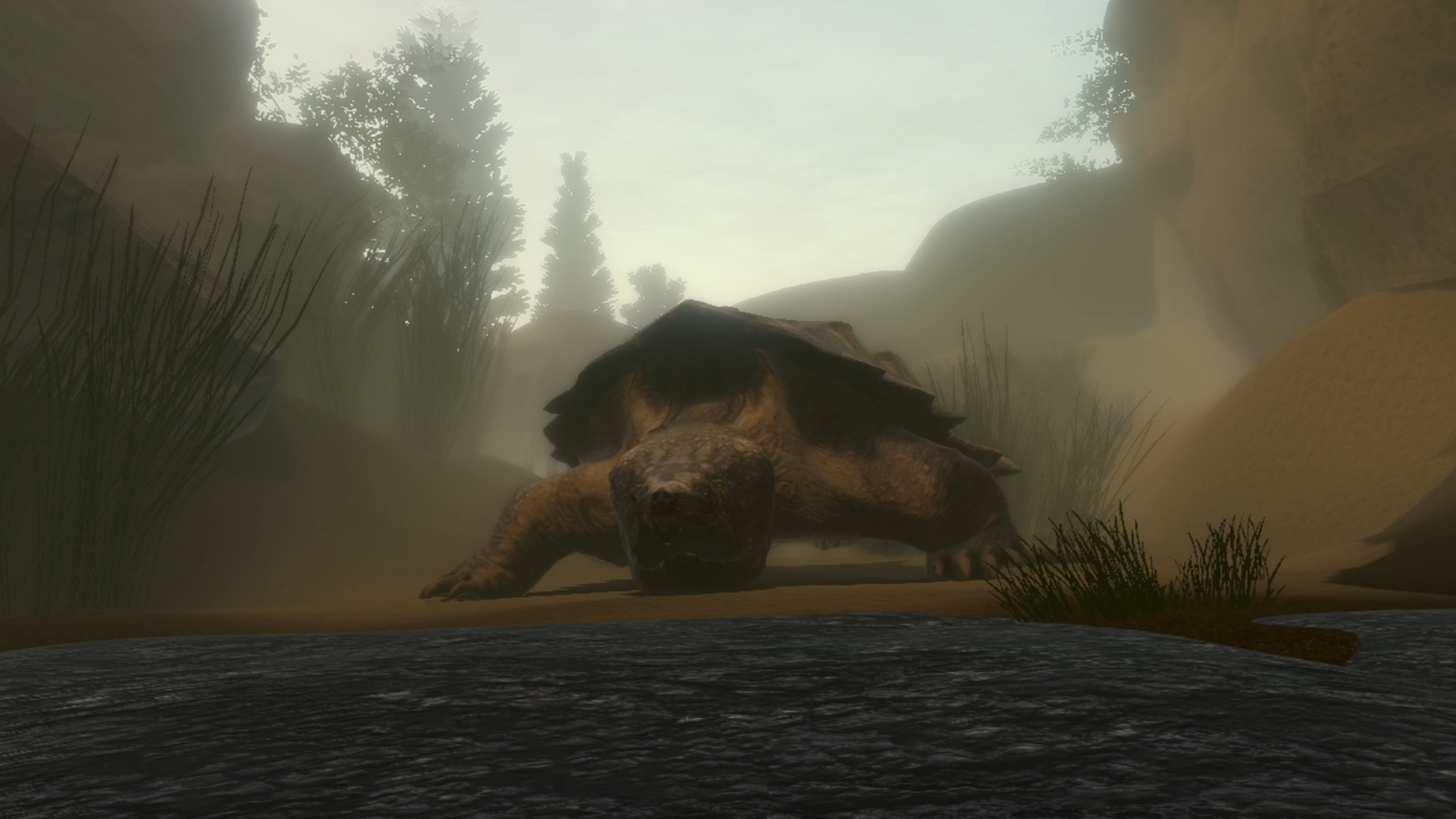 Frogworld screenshot 6