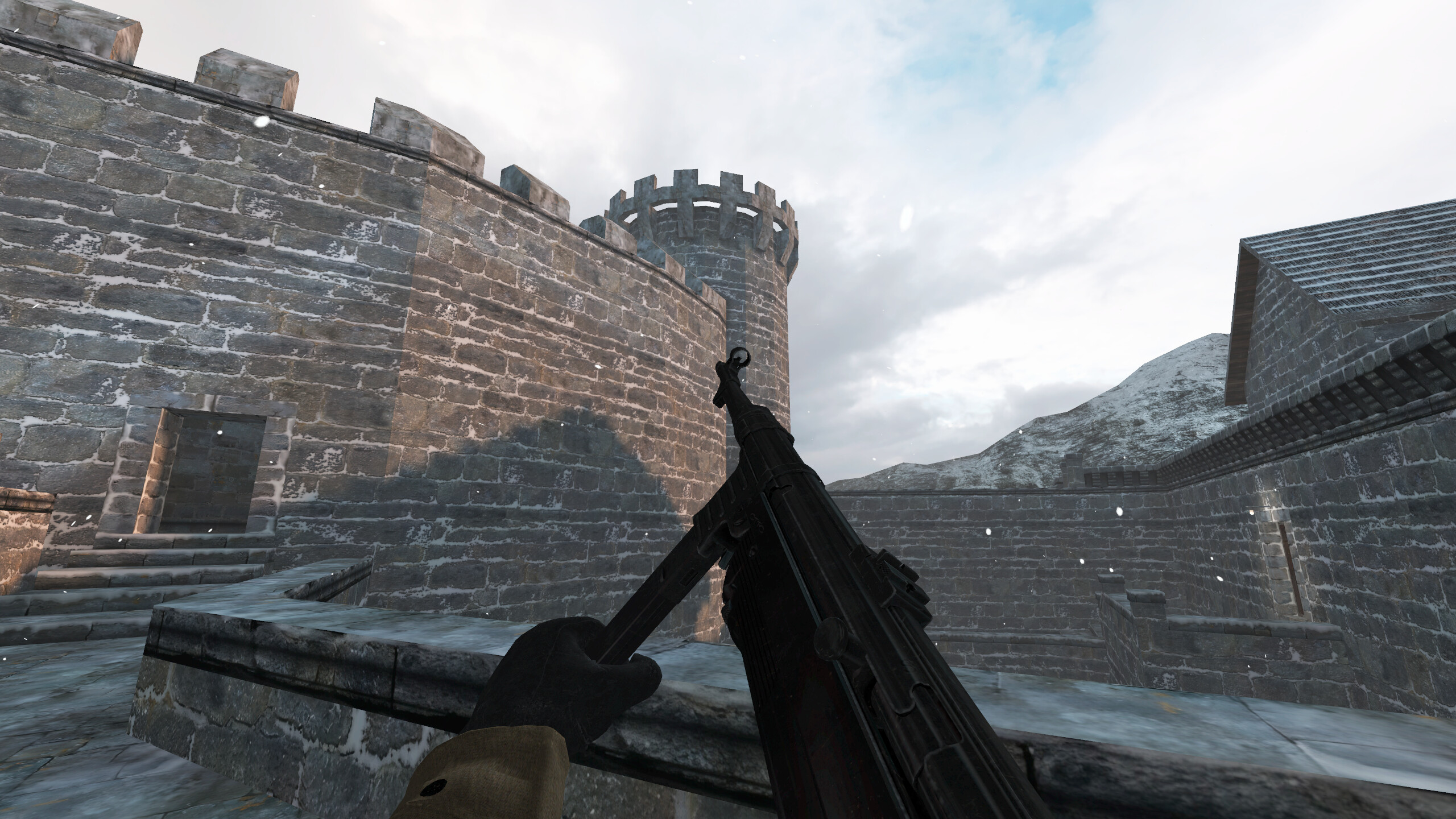 RealRTCW screenshot 1