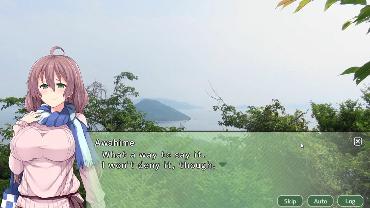 四国志 ~酒池肉面战记~ screenshot 9
