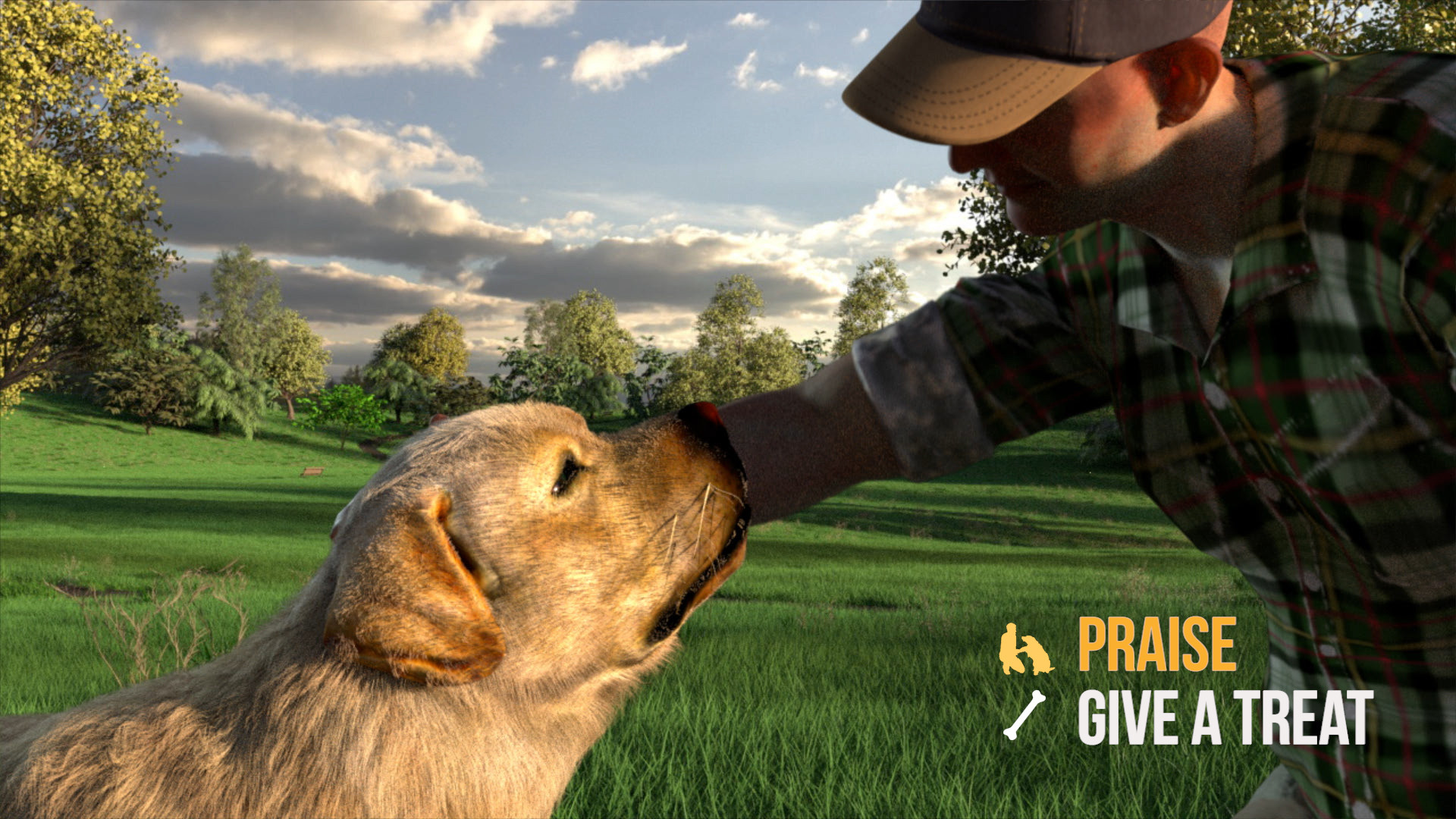 Animal Trainer screenshot 3