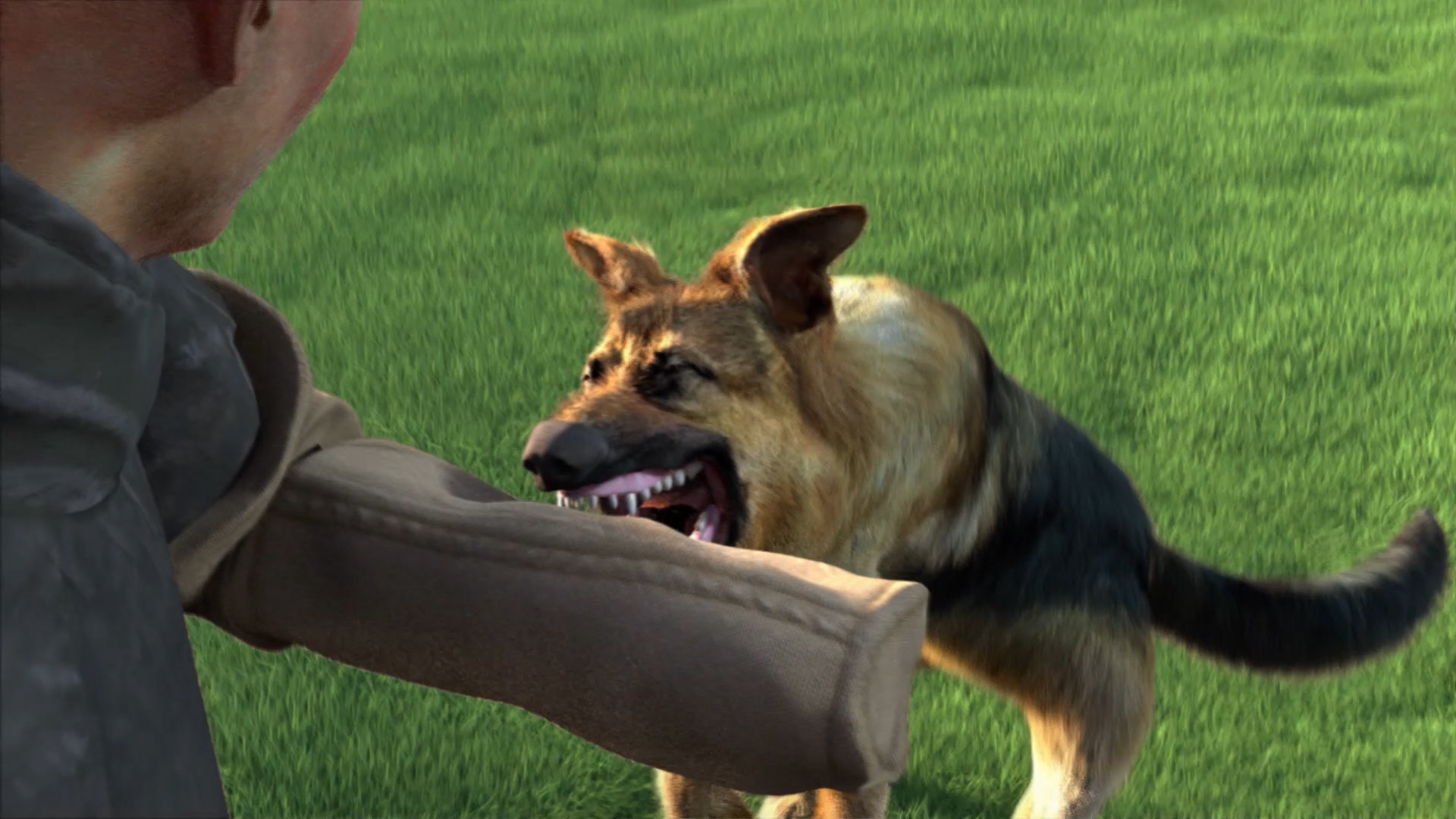 Animal Trainer screenshot 1