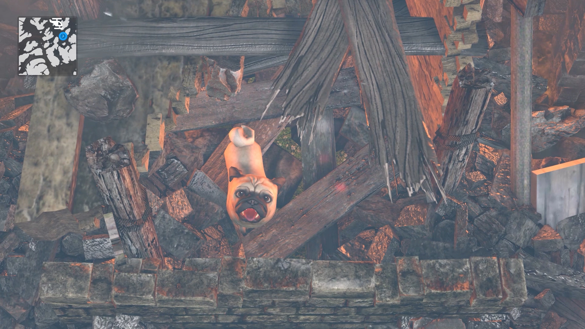 Animal Rescue screenshot 6