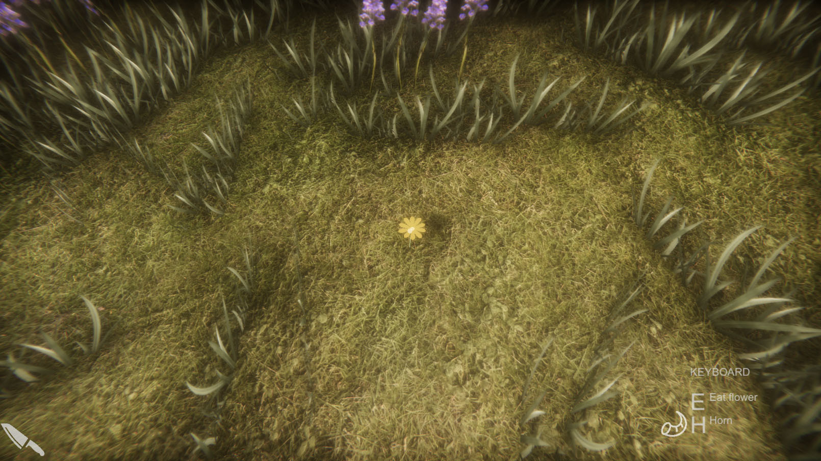 Flower Challenge screenshot 9