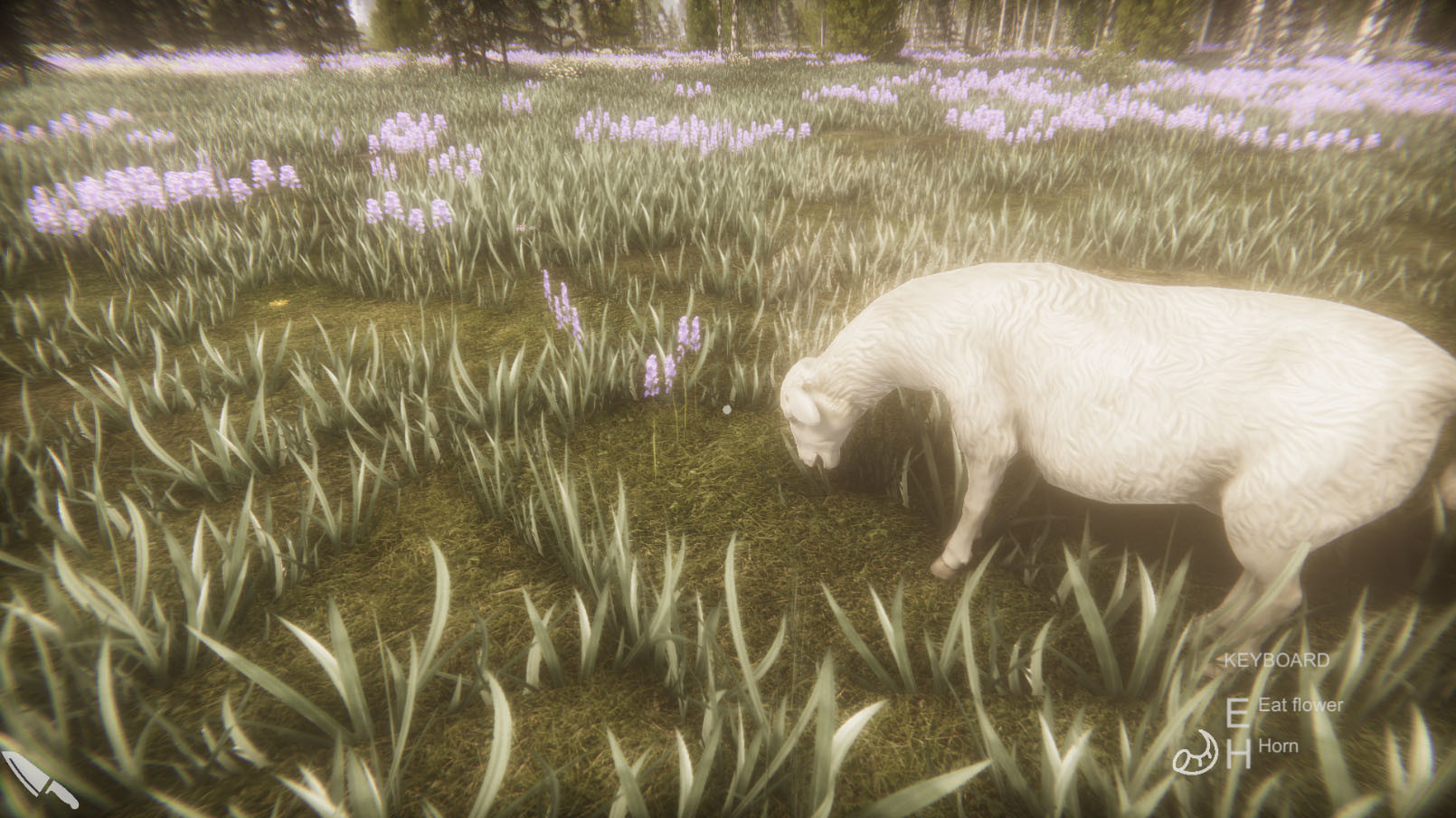 Flower Challenge screenshot 6