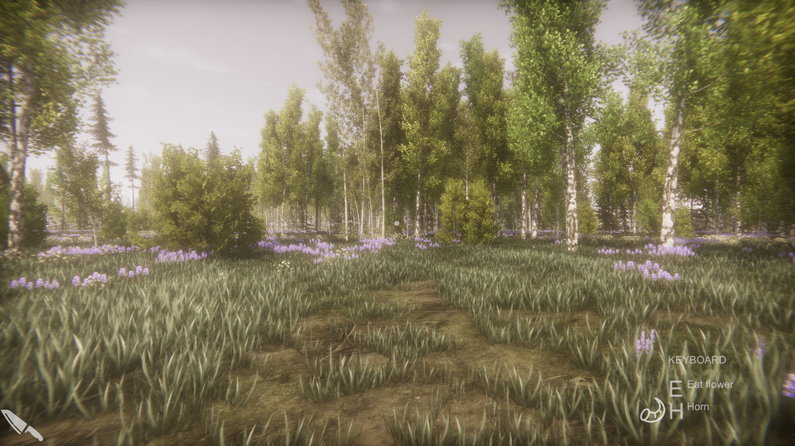 Flower Challenge screenshot 10