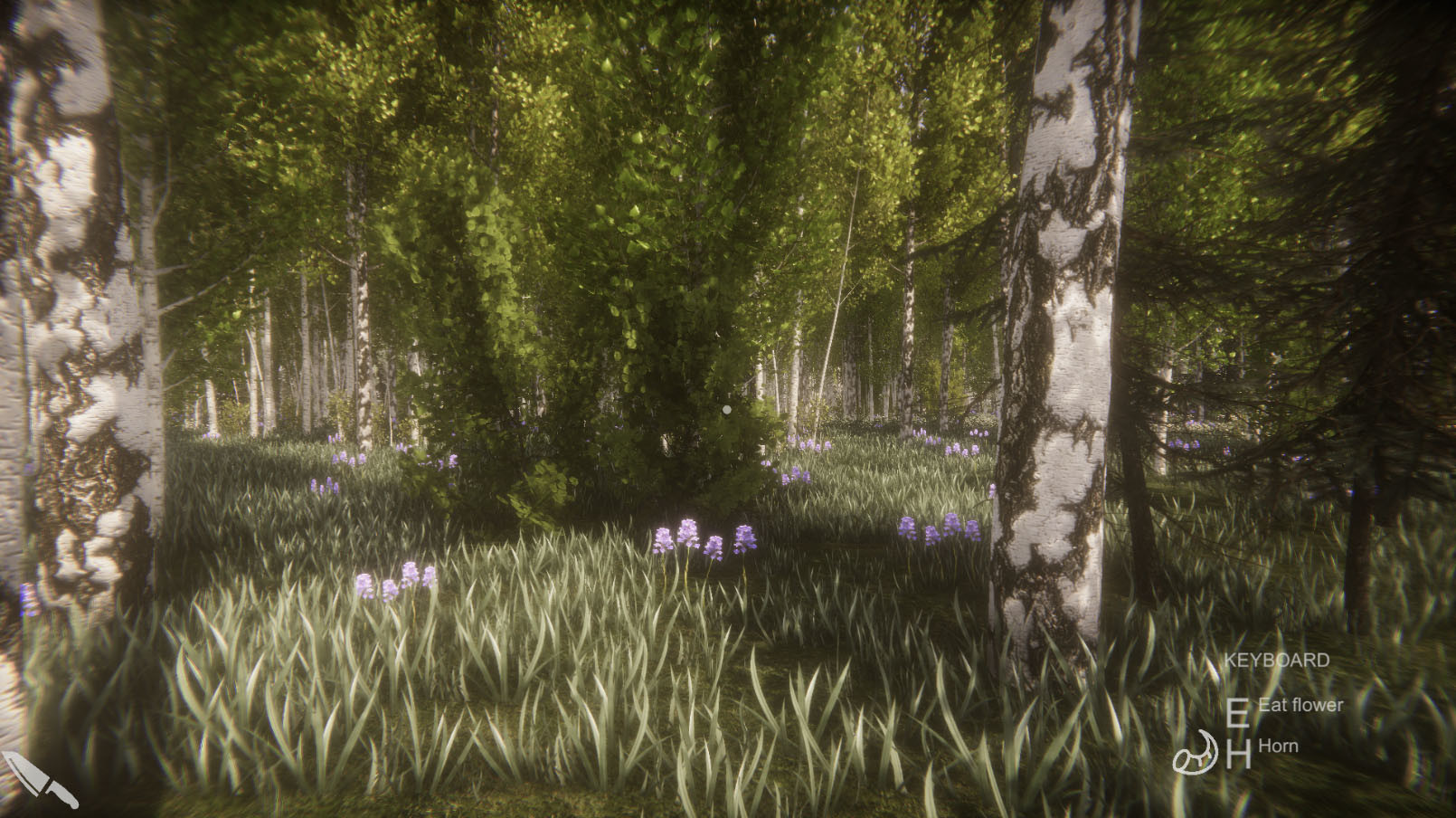 Flower Challenge screenshot 7