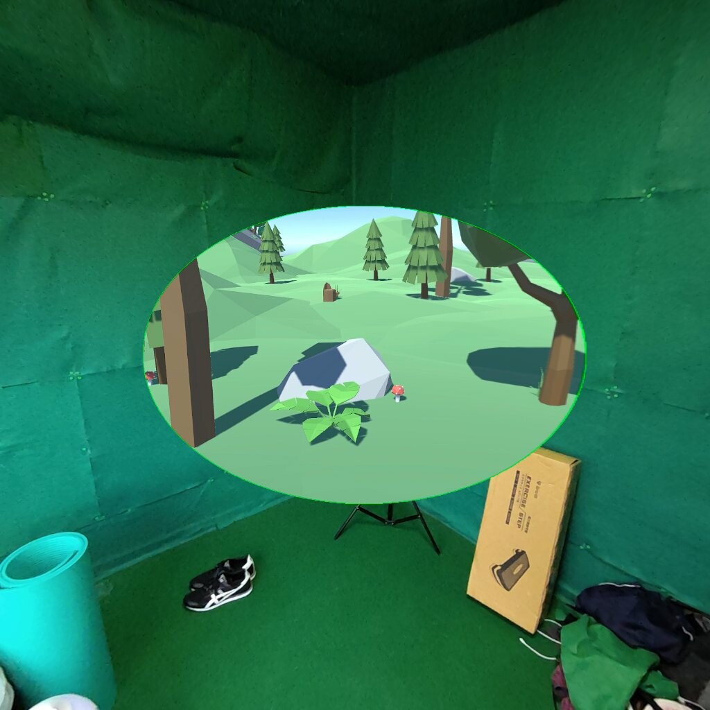 OVR Locomotion Effect screenshot 3