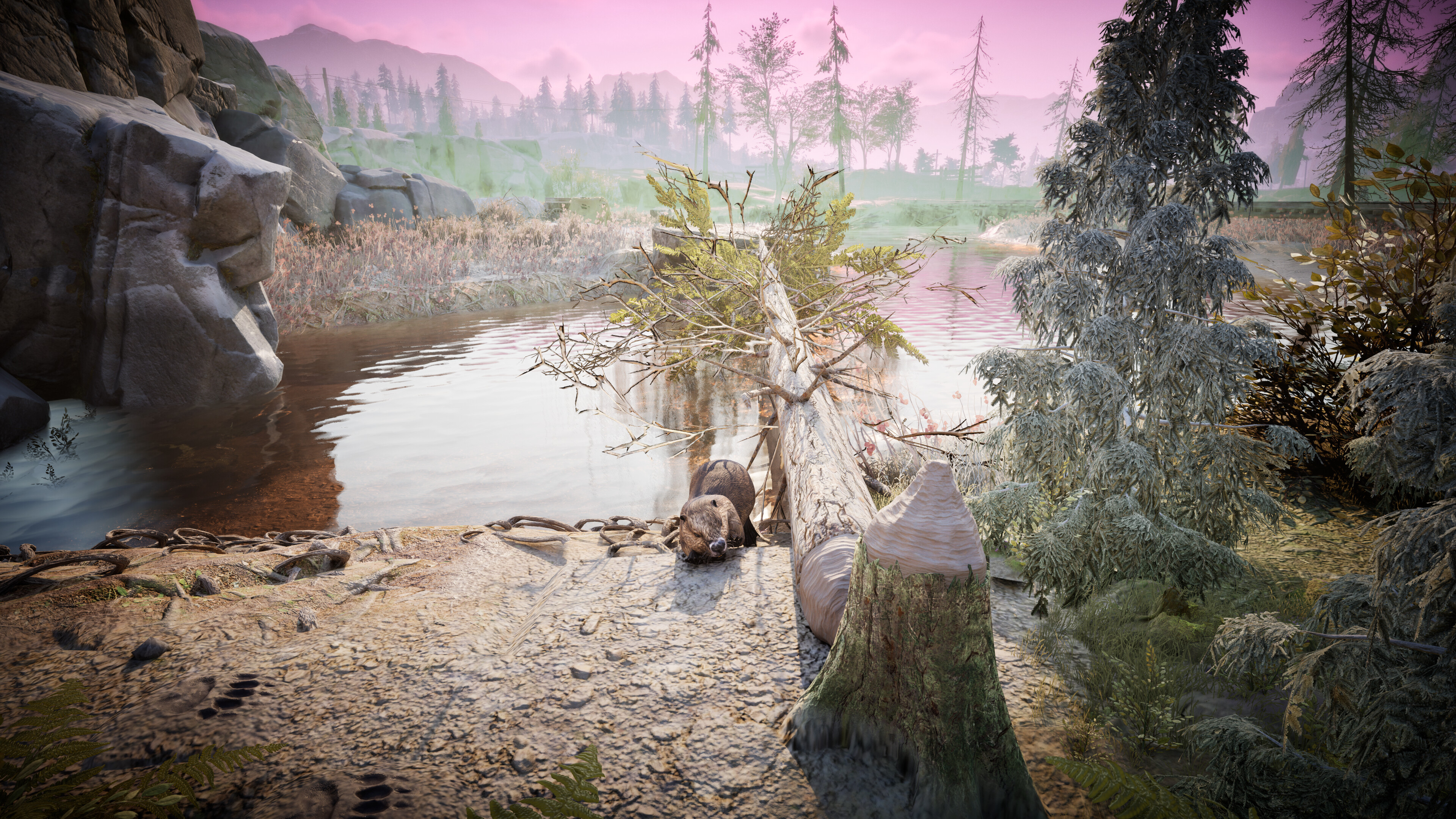 Winter Survival screenshot 4