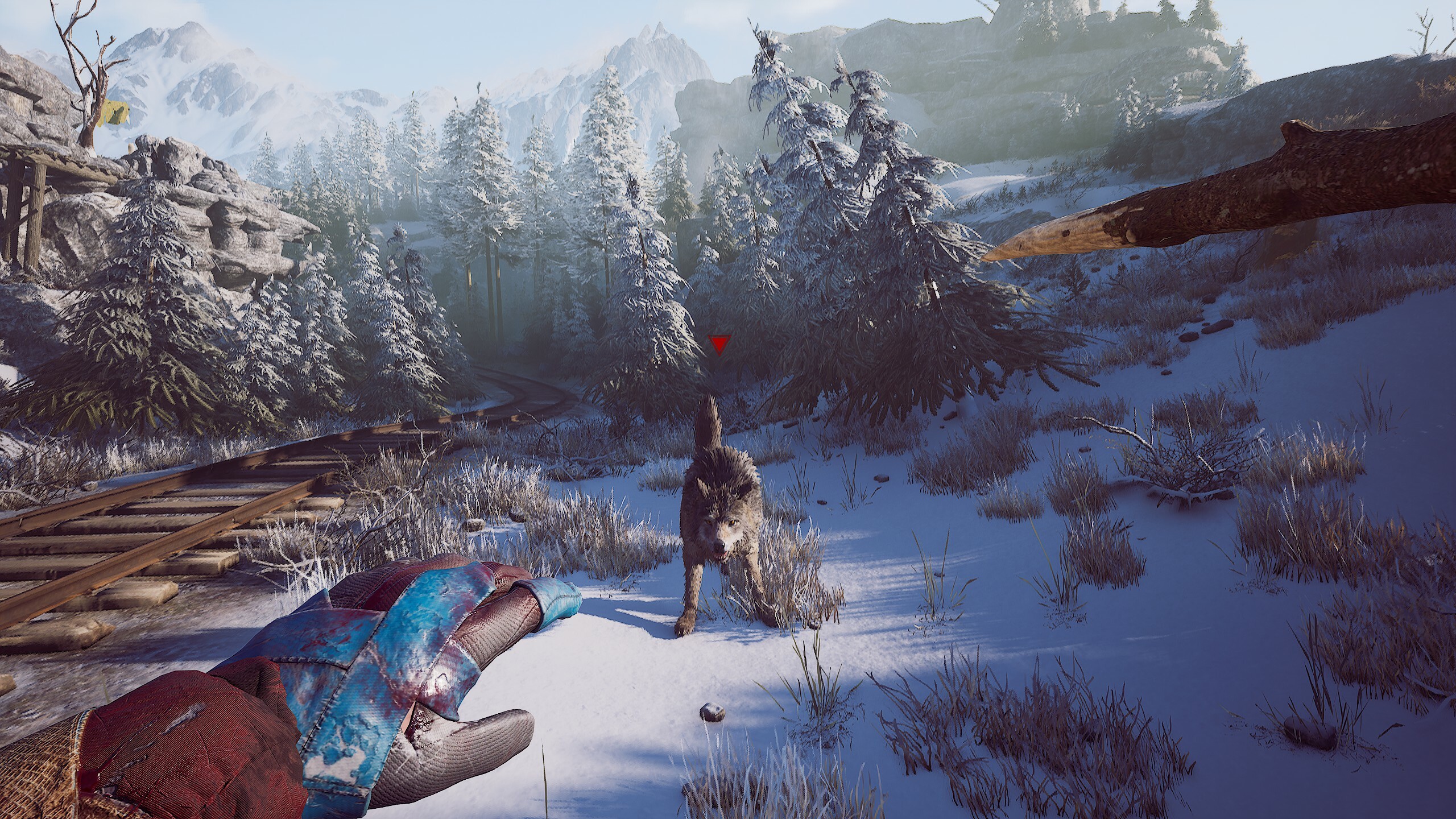 Winter Survival screenshot 29