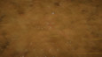 Screenshot 25