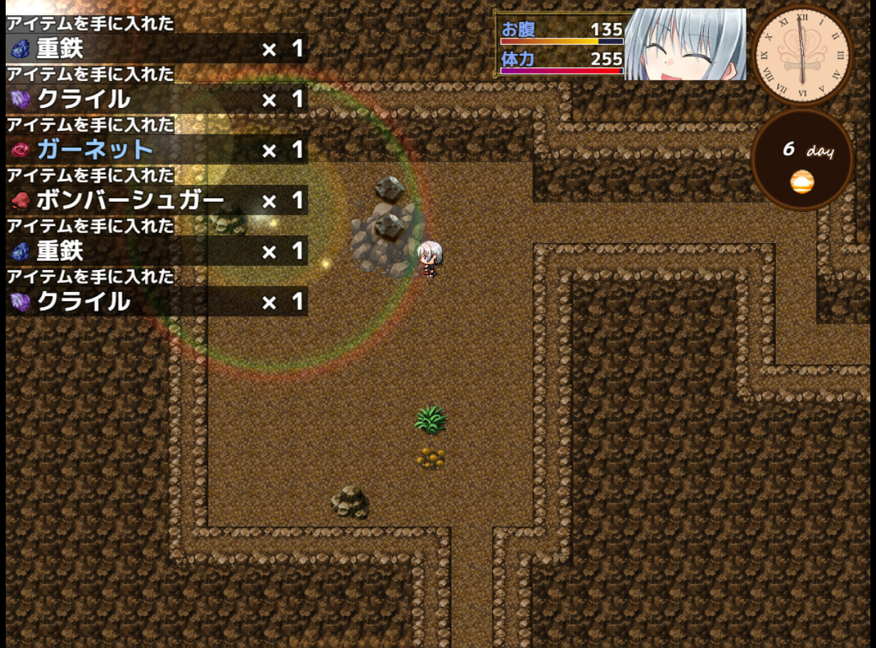 Home and Dungeon screenshot 6