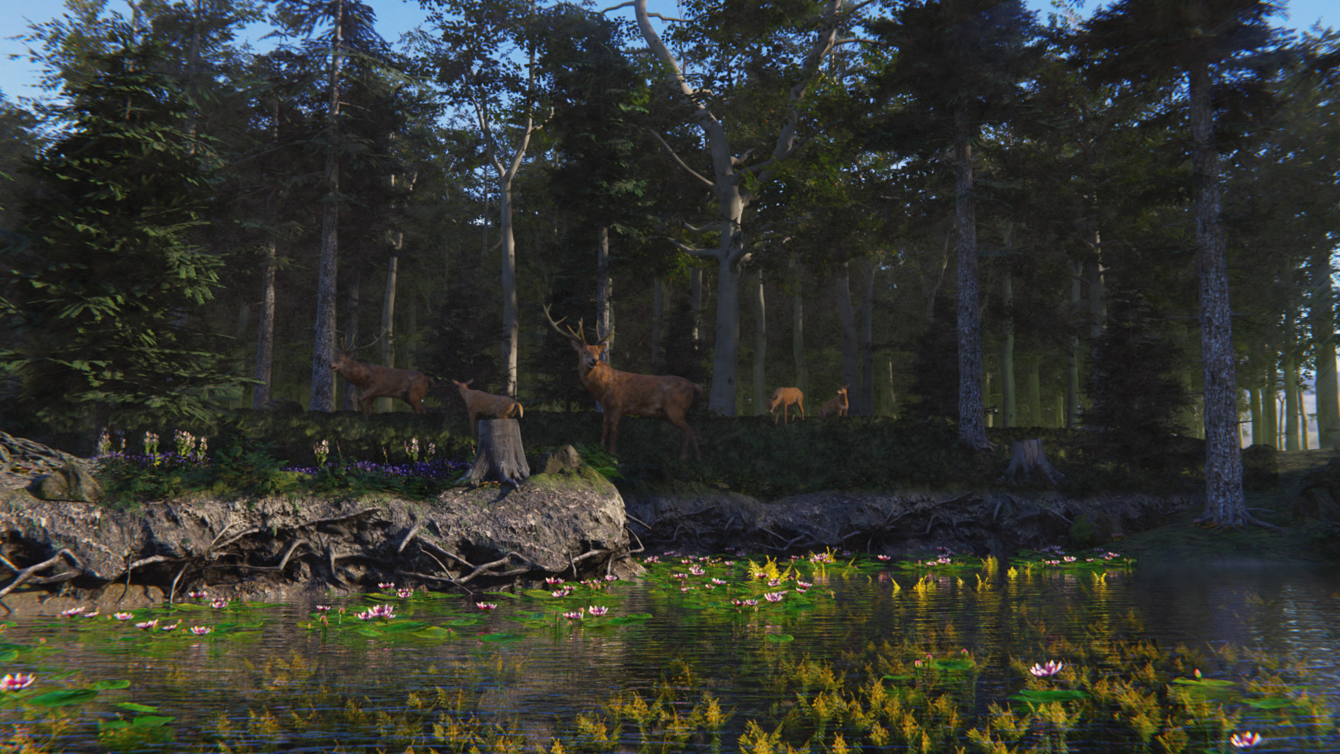 Birding Simulator screenshot 9