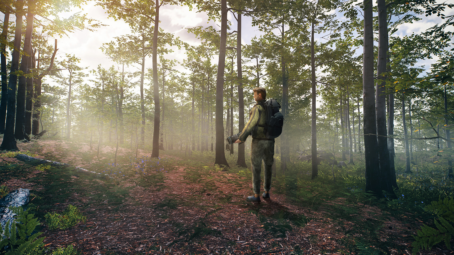 Birding Simulator screenshot 8
