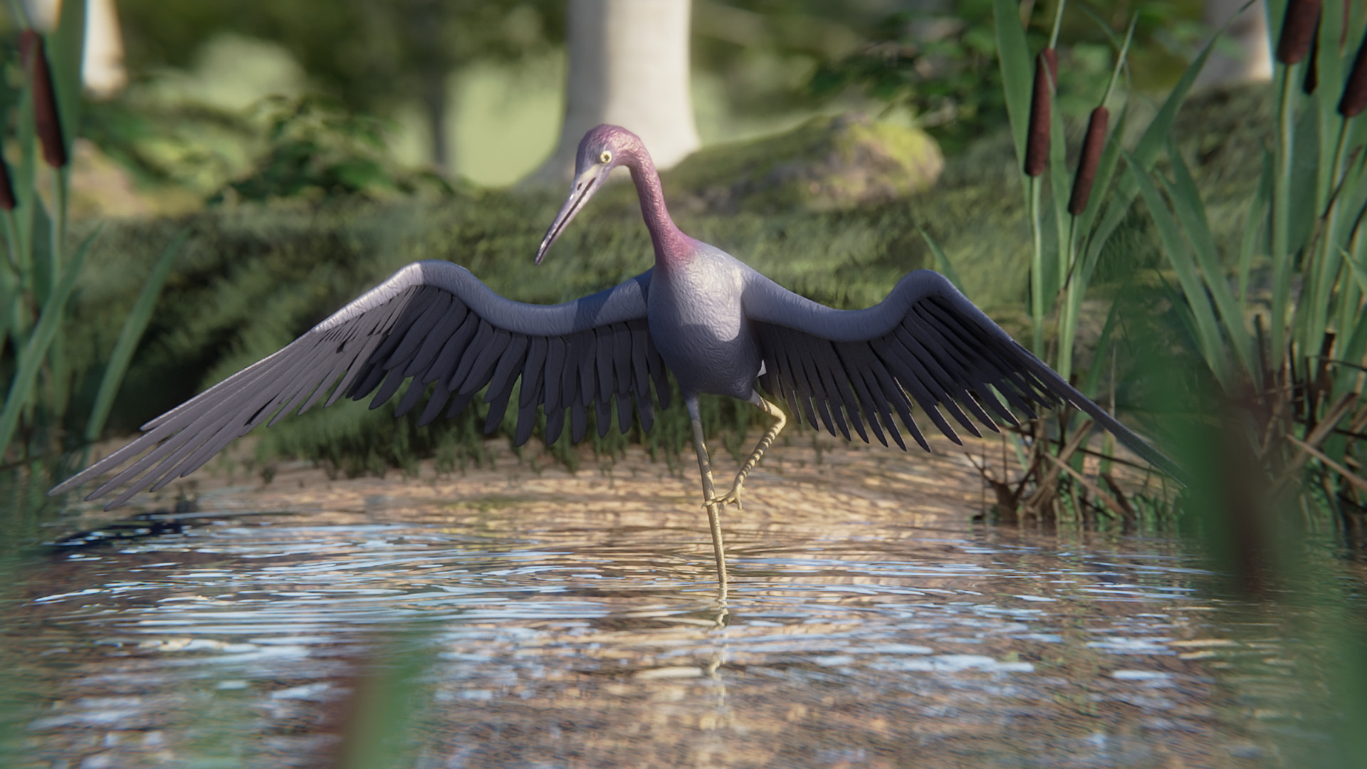 Birding Simulator screenshot 10