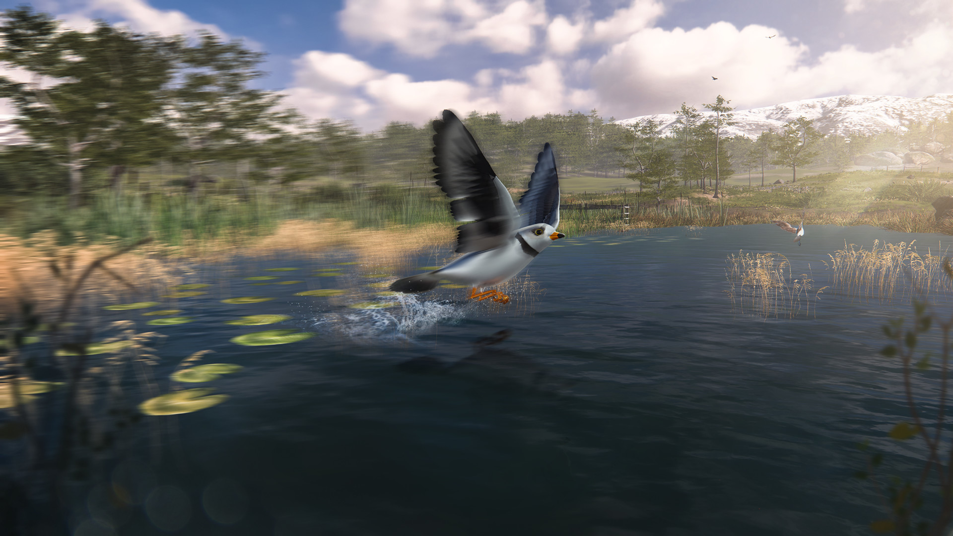 Birding Simulator screenshot 7
