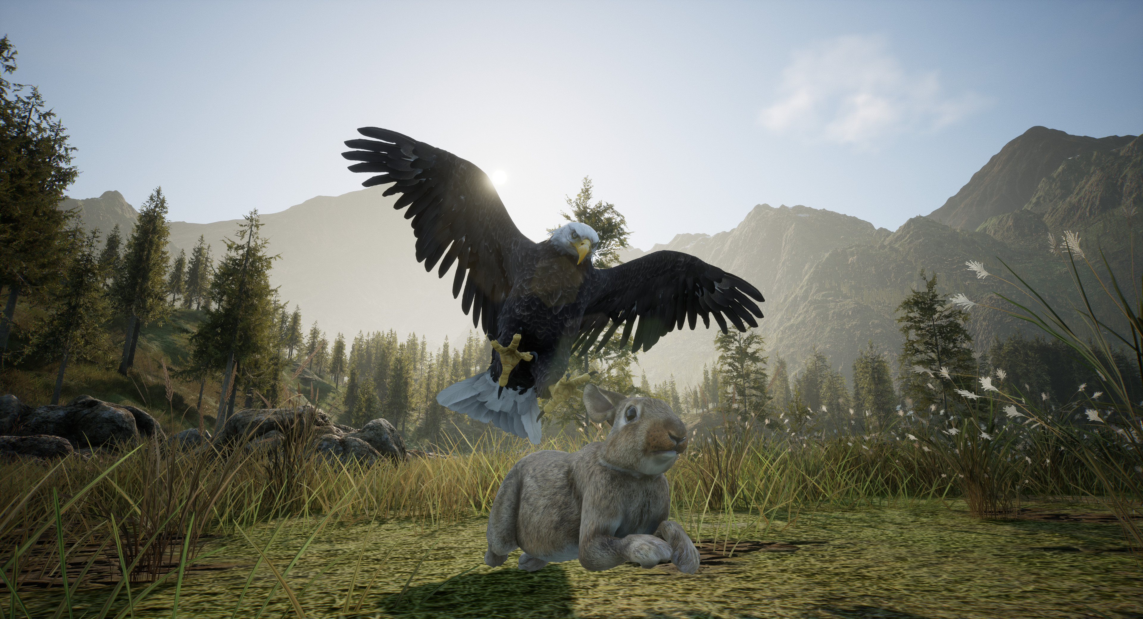 Wilderness screenshot 2