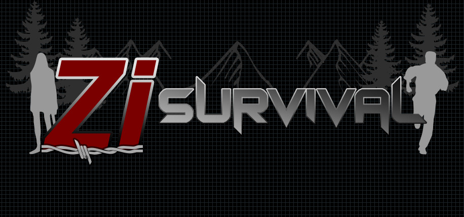ZI Survival screenshot 1