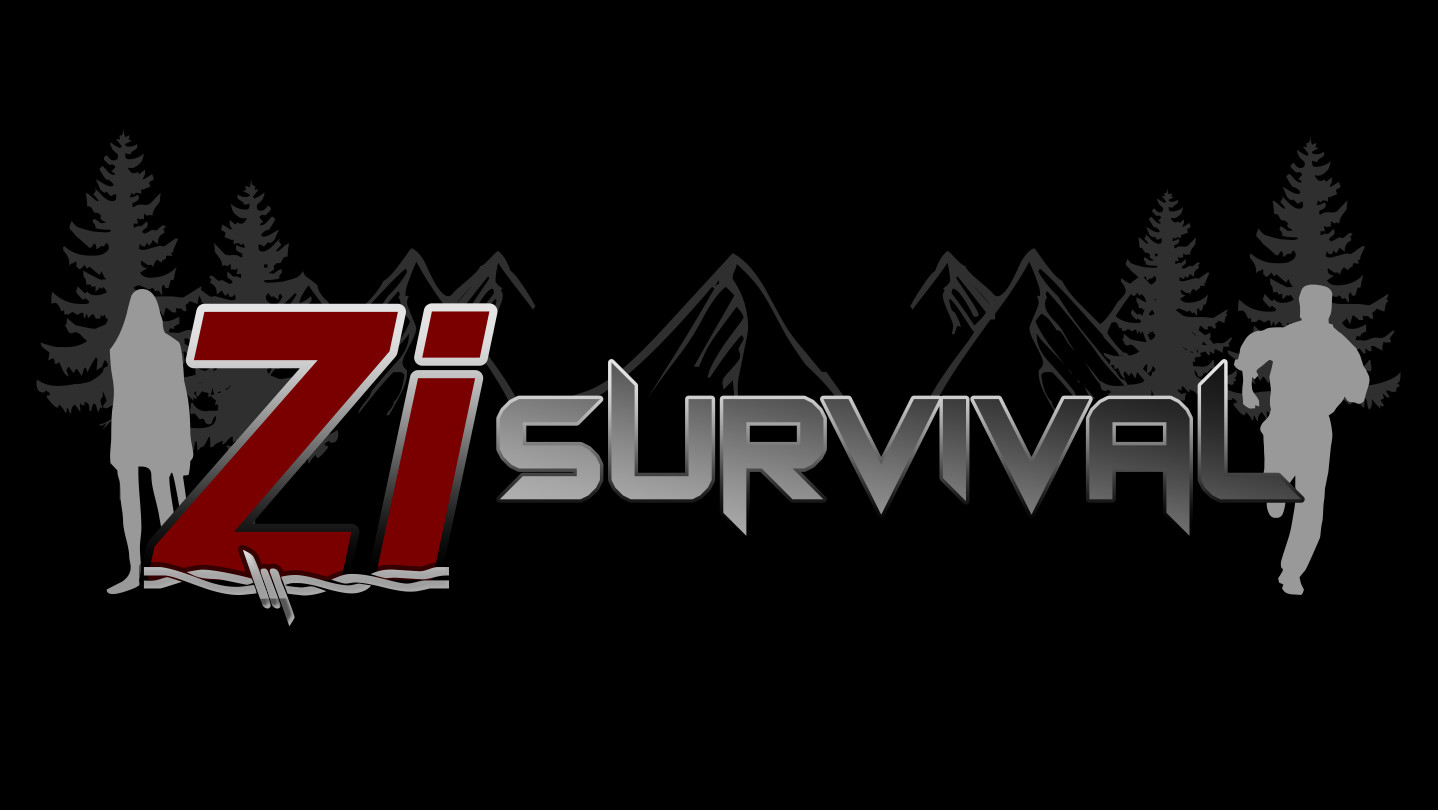 ZI Survival screenshot 5