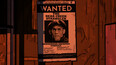 Screenshot 48