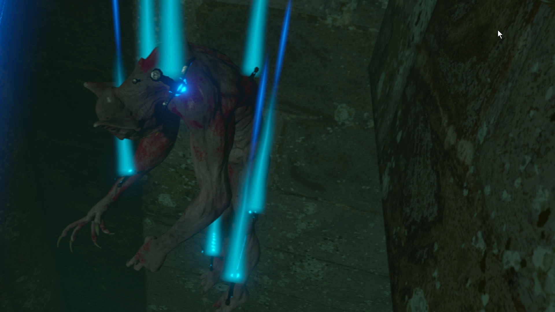 Monster Collector screenshot 15