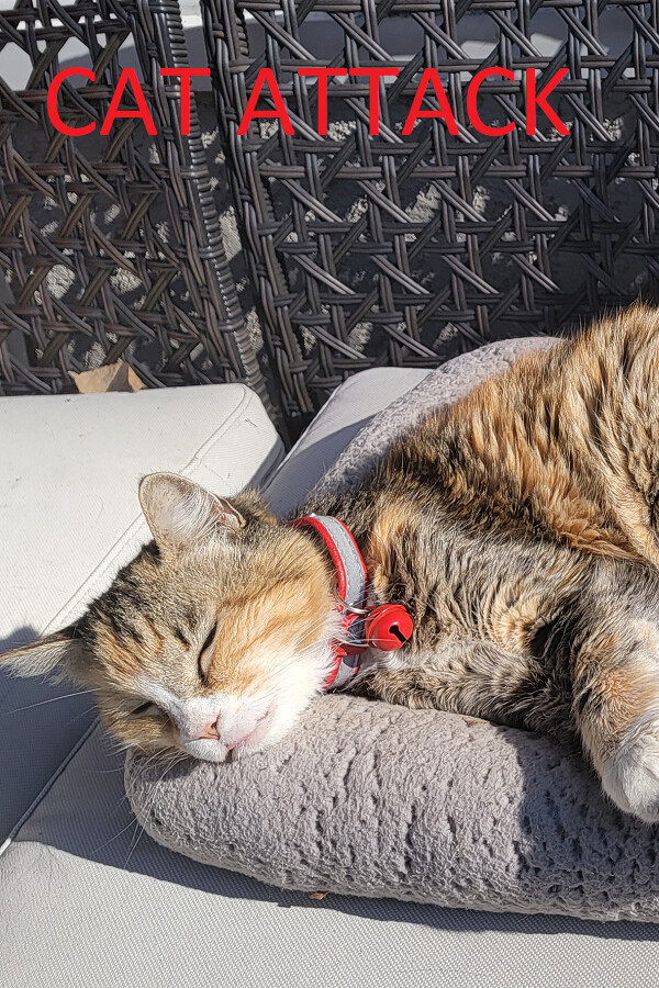 91efbd44-acce-1e0b-4e4f-0479117dab5a