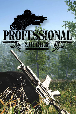 Professional Soldier