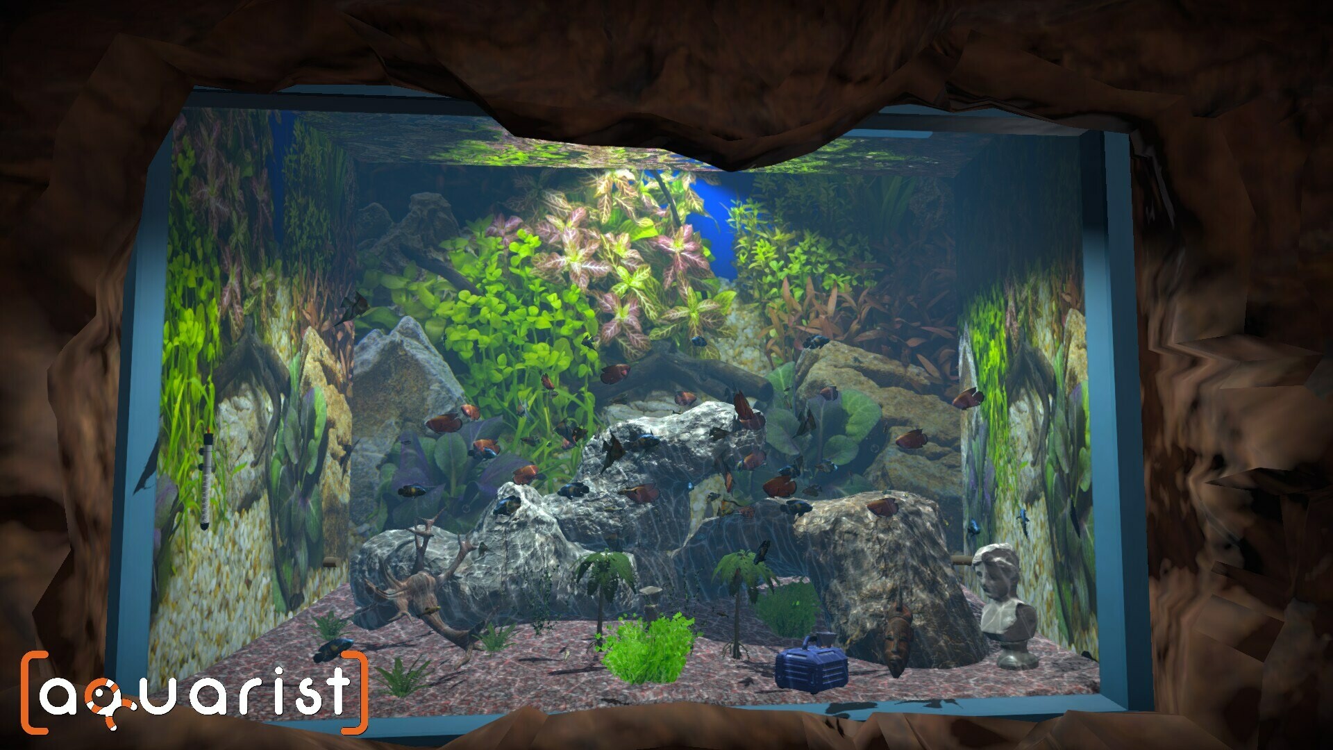 Steamで50% OFF:Aquarist - 水槽を建て、魚を育て、ビジネスを Steamで50% OFF:Aquarist - 水槽を建て、魚を育て、ビジネスを