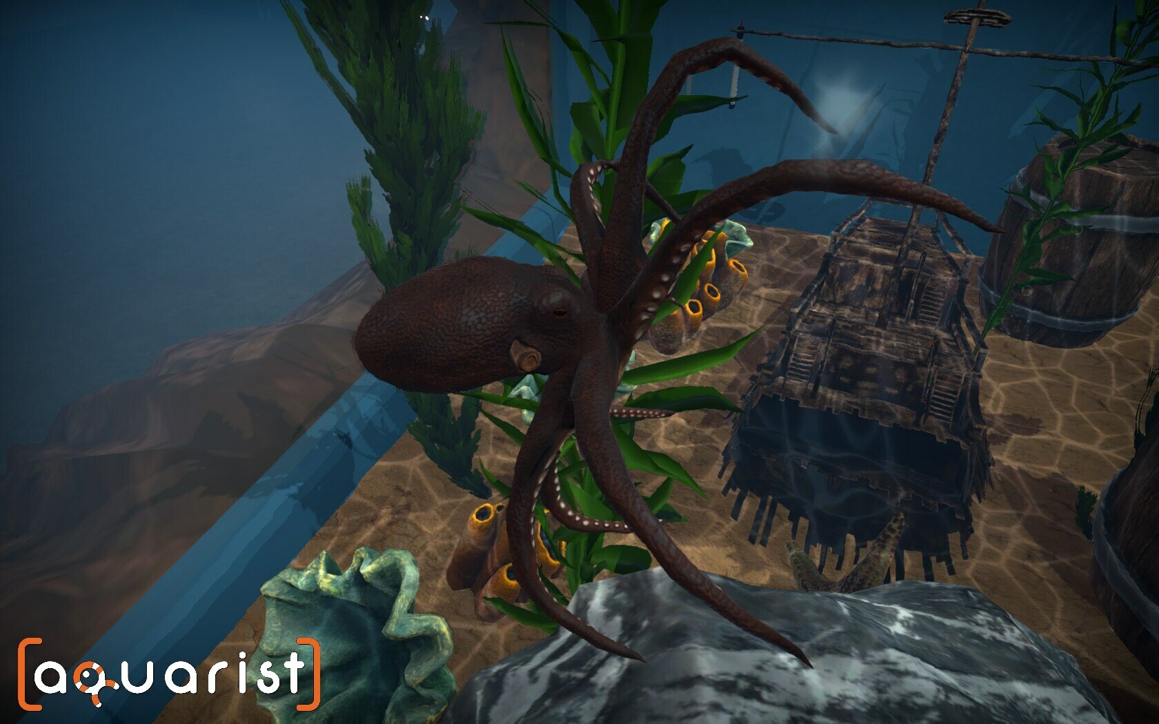 Aquarist screenshot 6