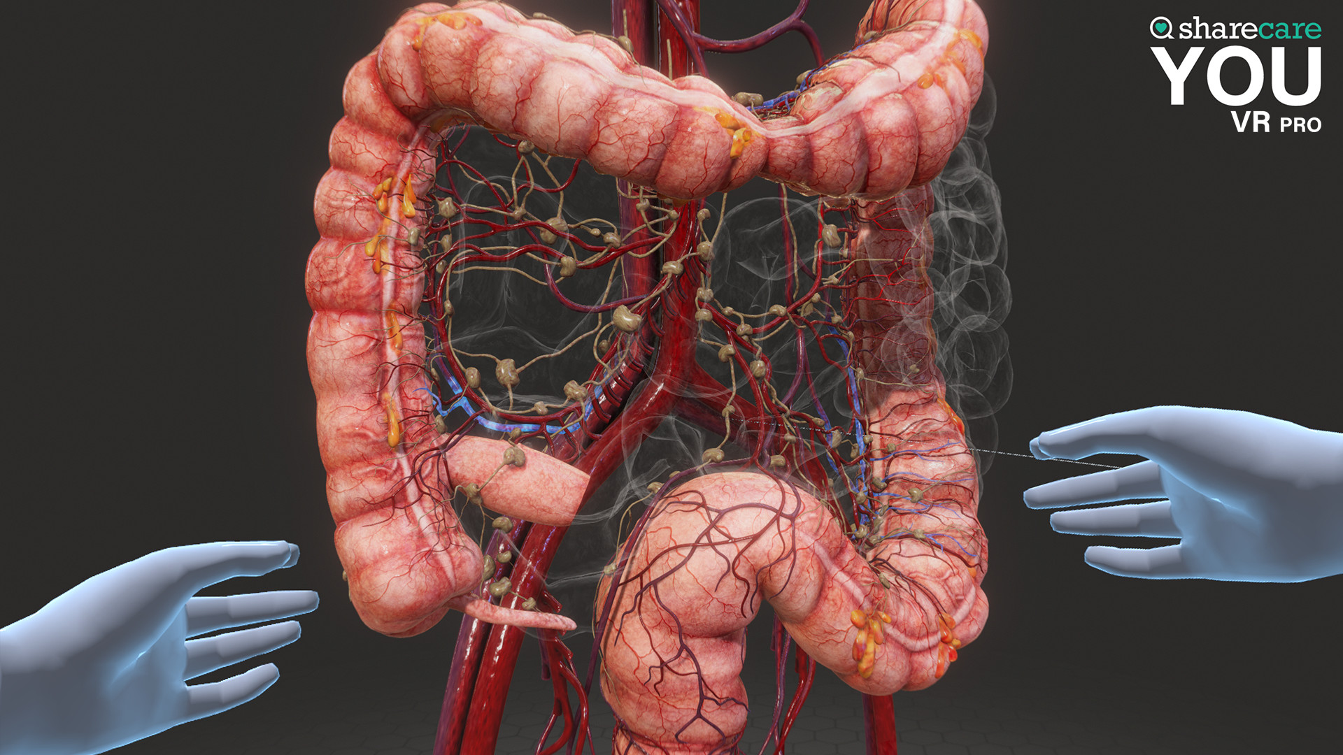Sharecare YOU VR Pro screenshot 8