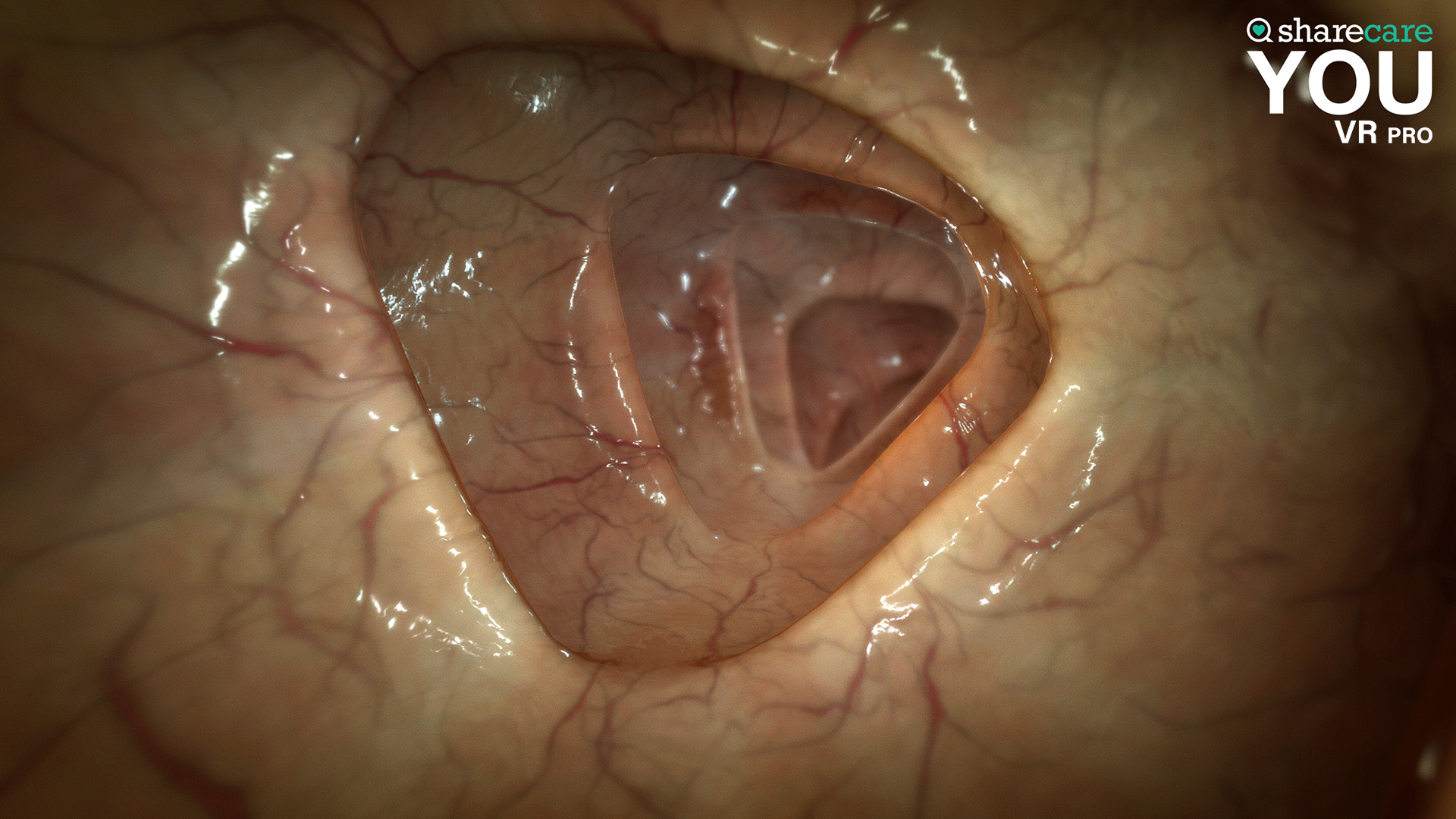 Sharecare YOU VR Pro screenshot 7