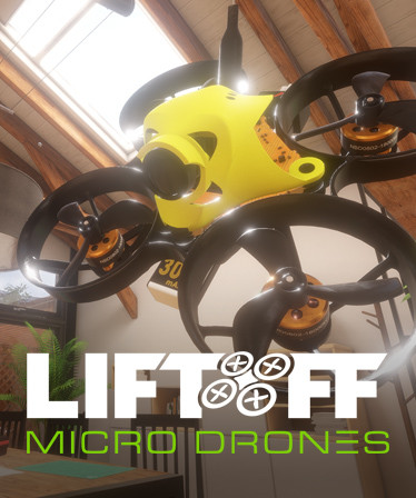 Liftoff : Micro Drones