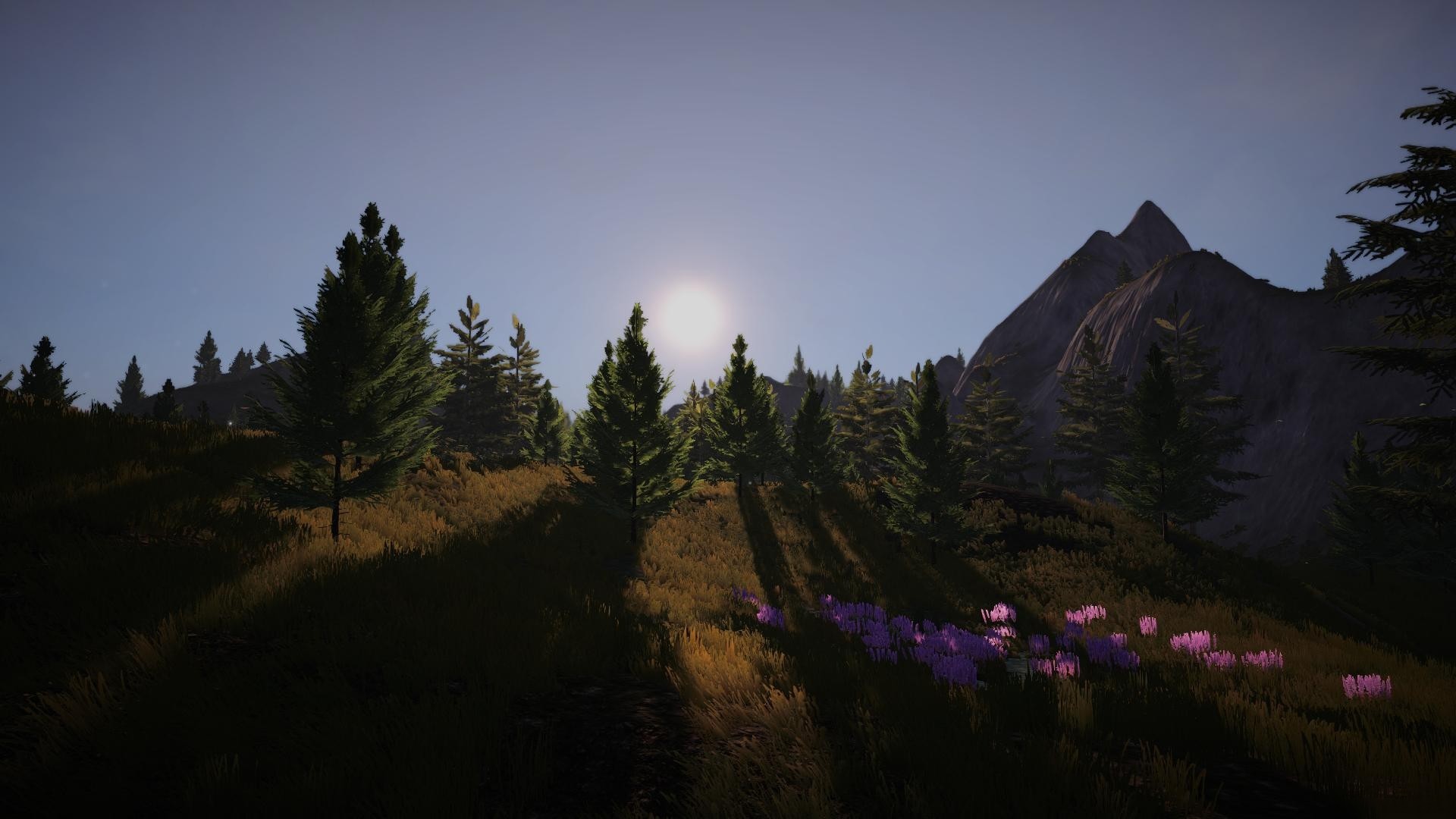 Beast Nature screenshot 9