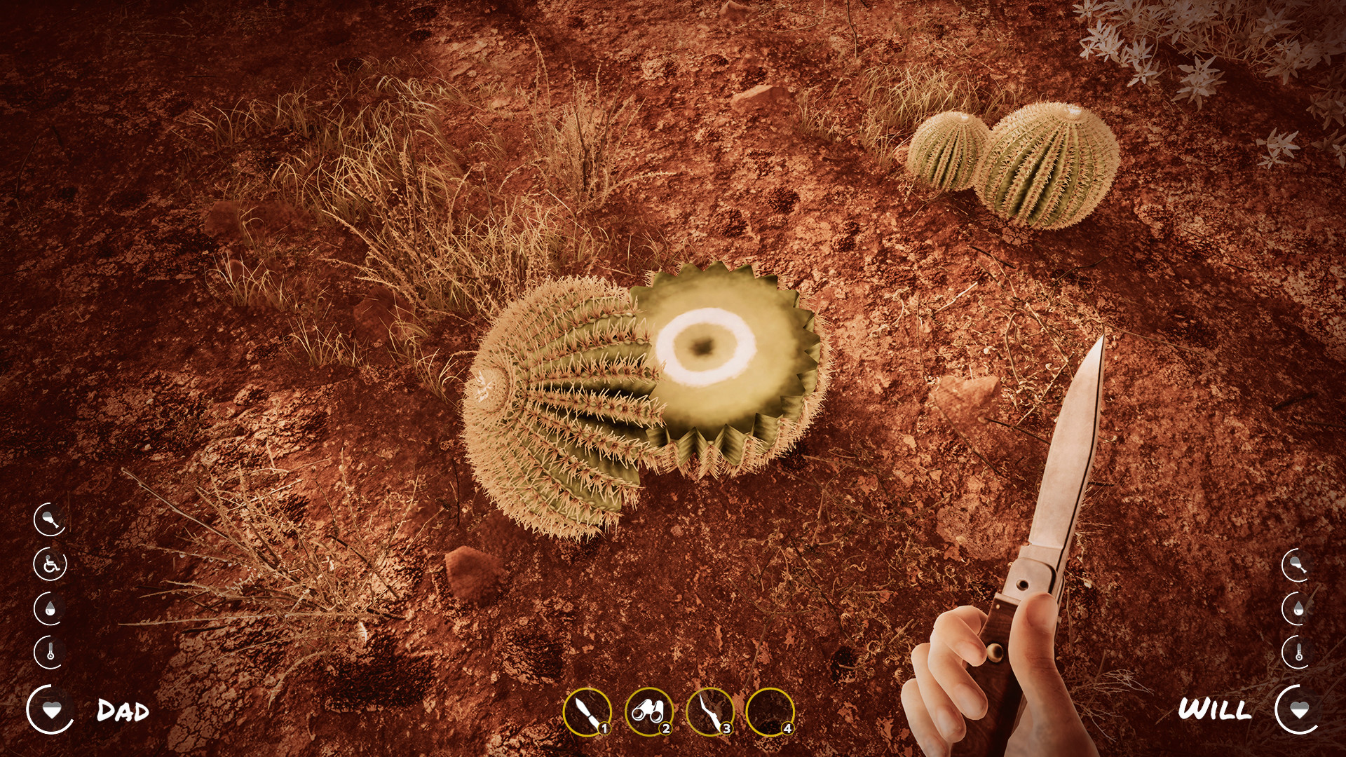 Deadly Desert screenshot 7