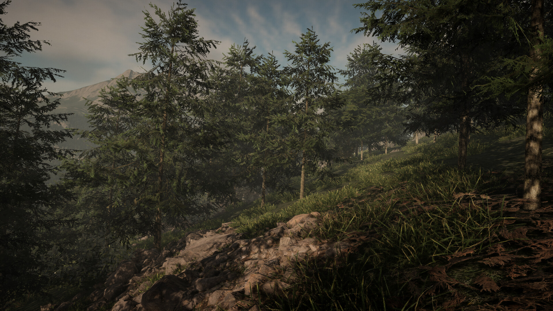 Determinant screenshot 2