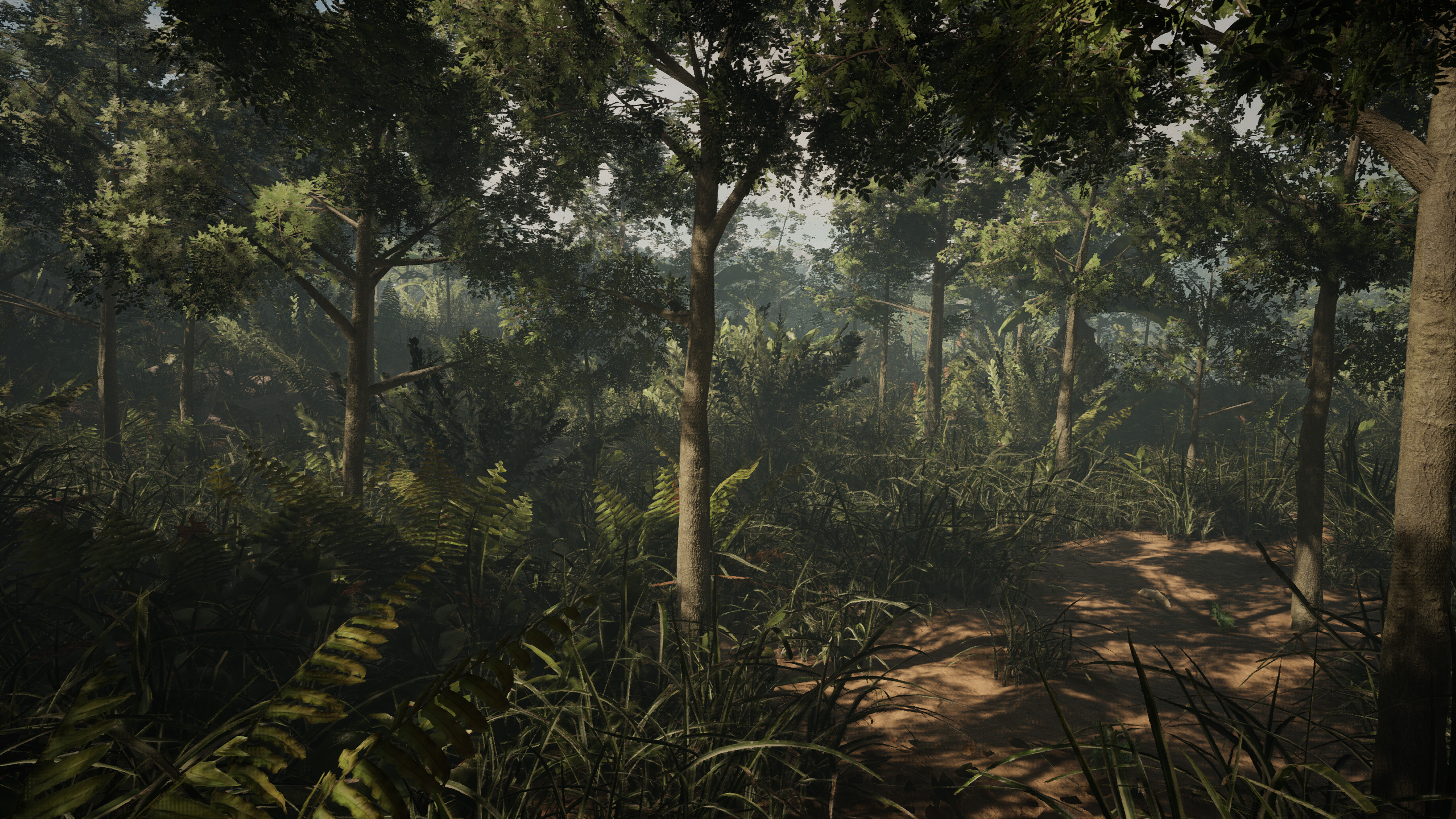 Determinant screenshot 7