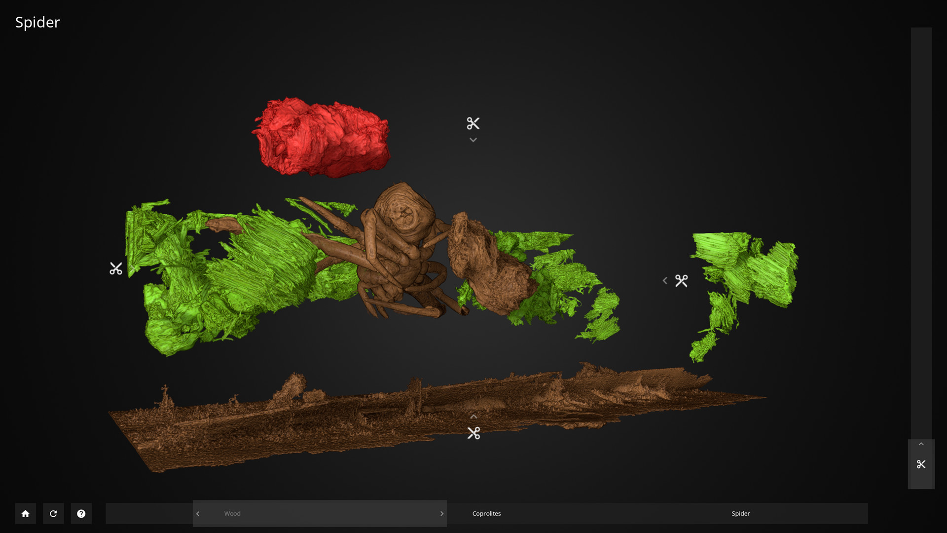 Inside Explorer - Insects in Amber screenshot 2