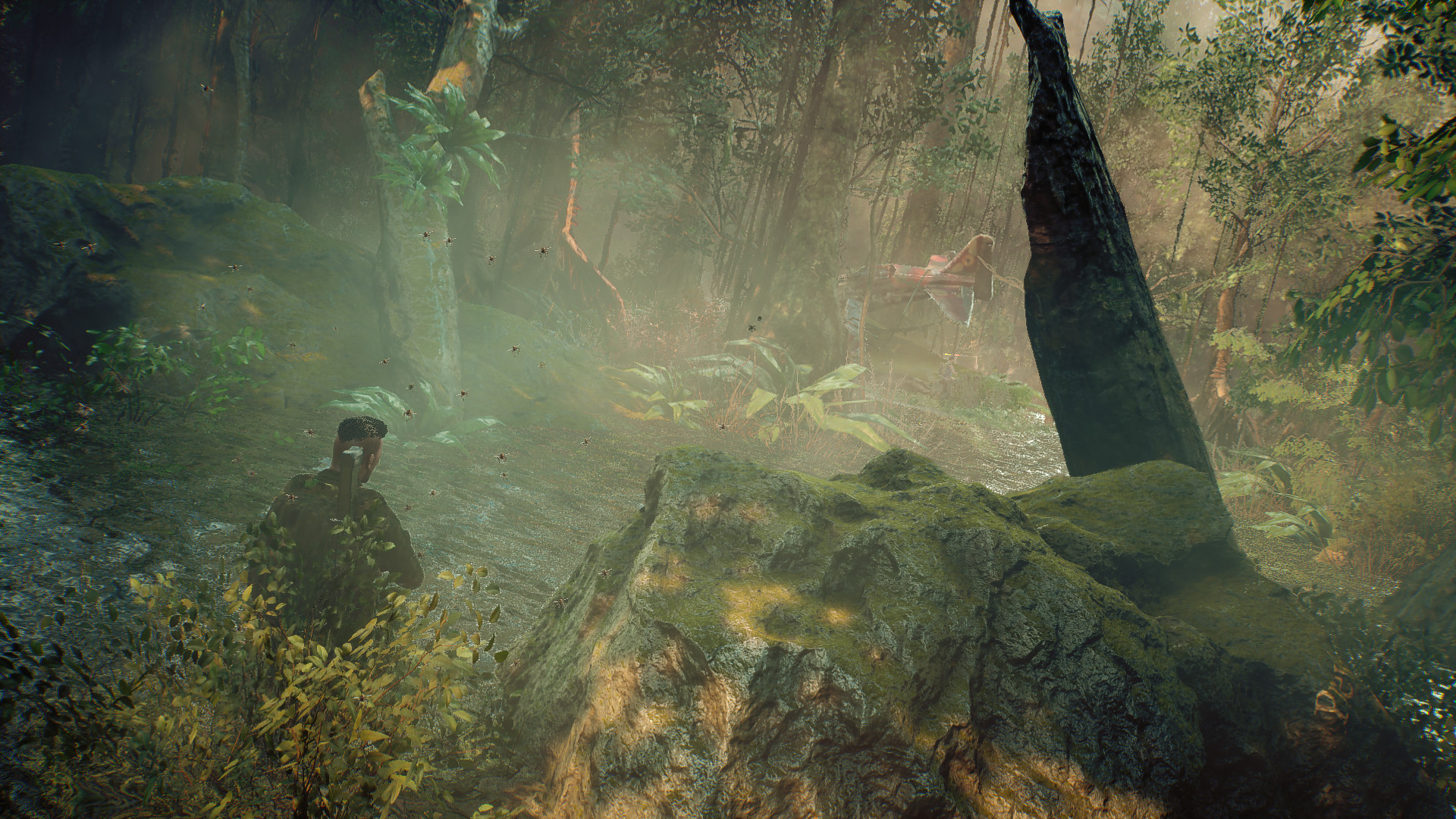NIRO screenshot 6