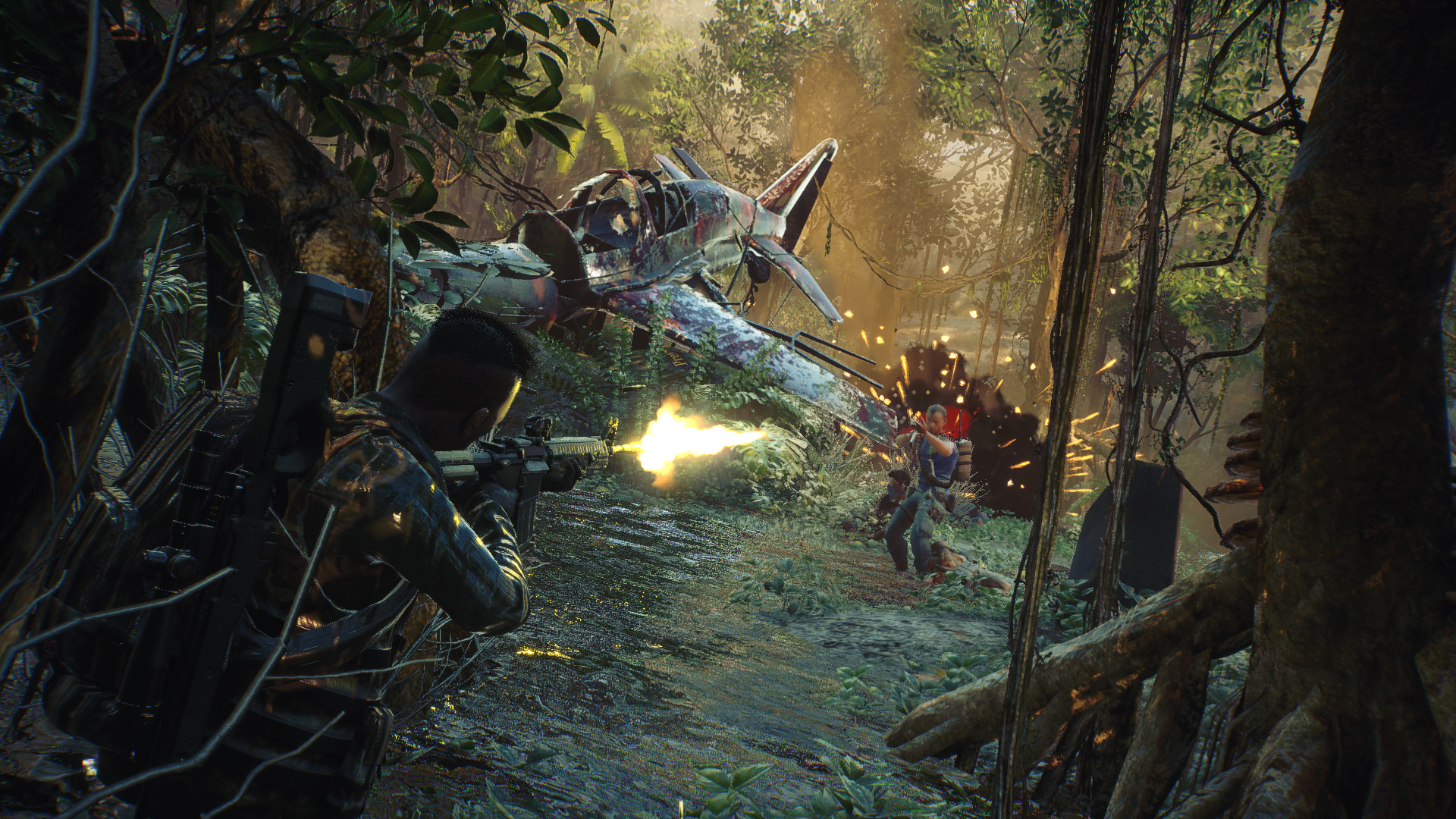 NIRO screenshot 3
