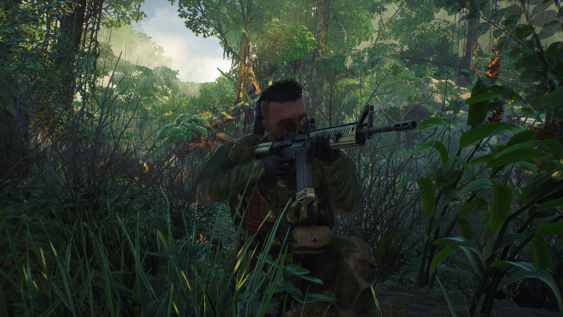 NIRO screenshot 2