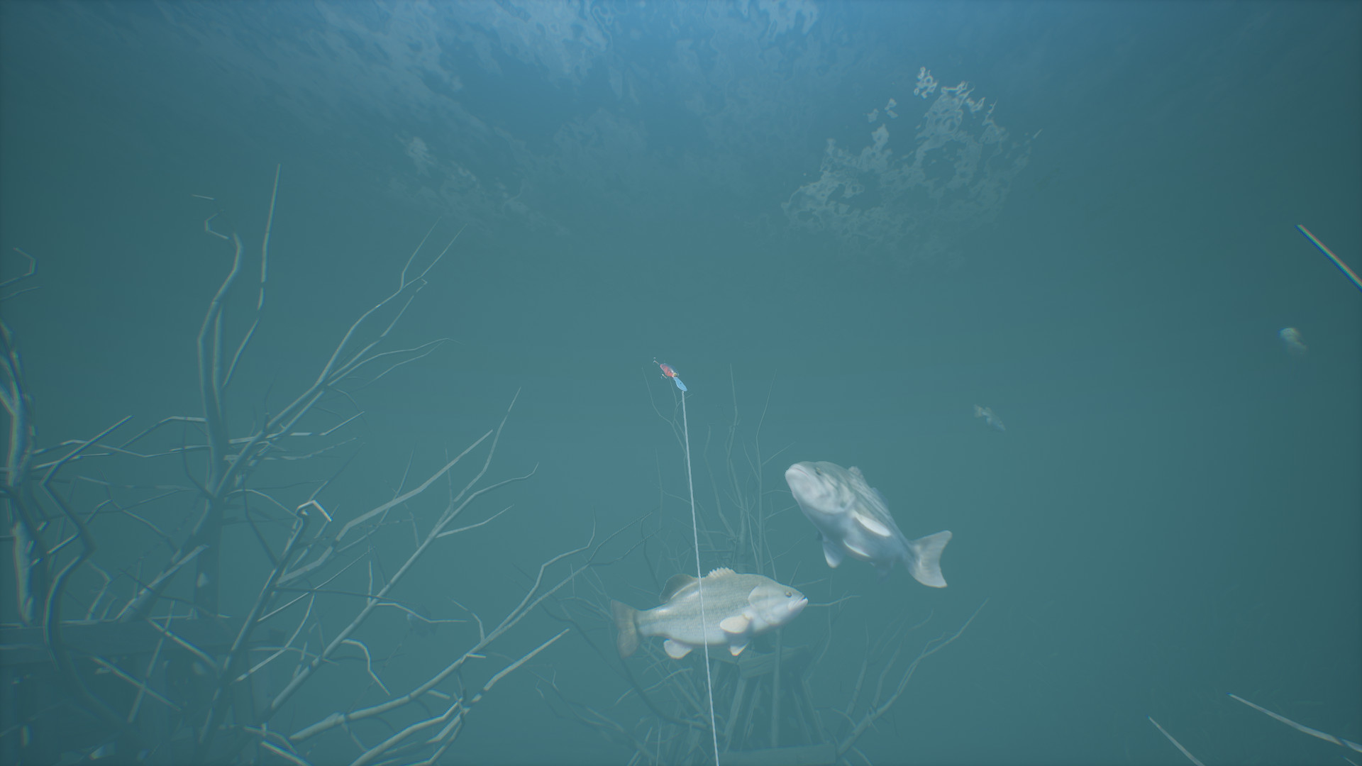 Bassmaster® Fishing screenshot 8