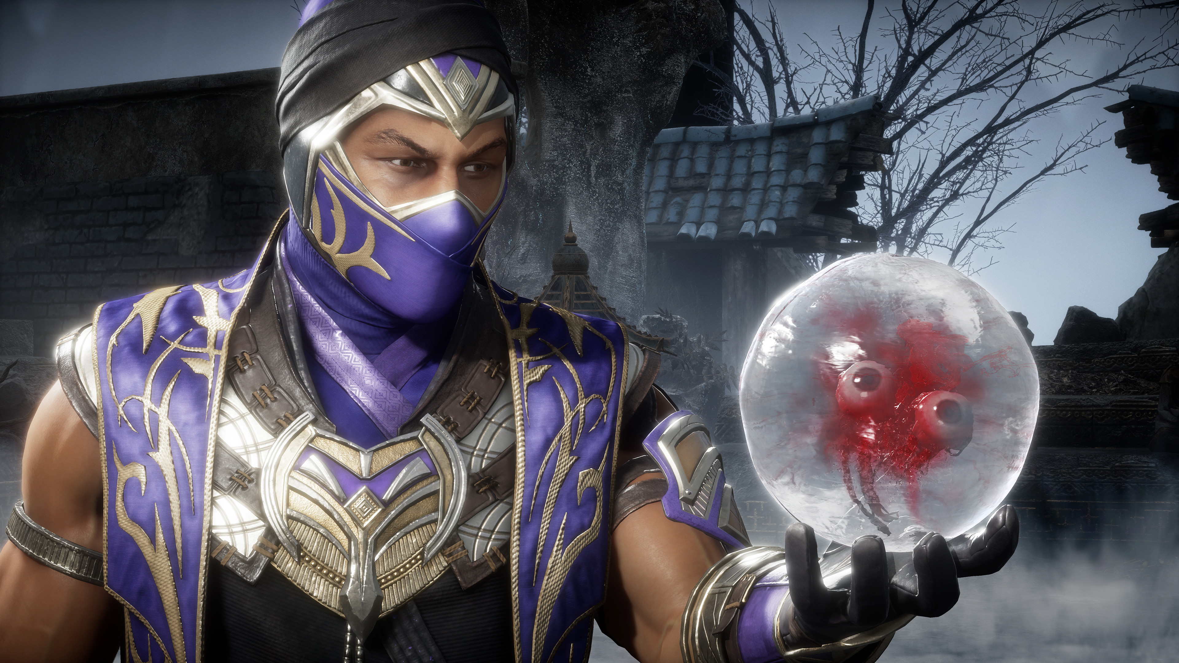 Kombat Pack 2 screenshot 6