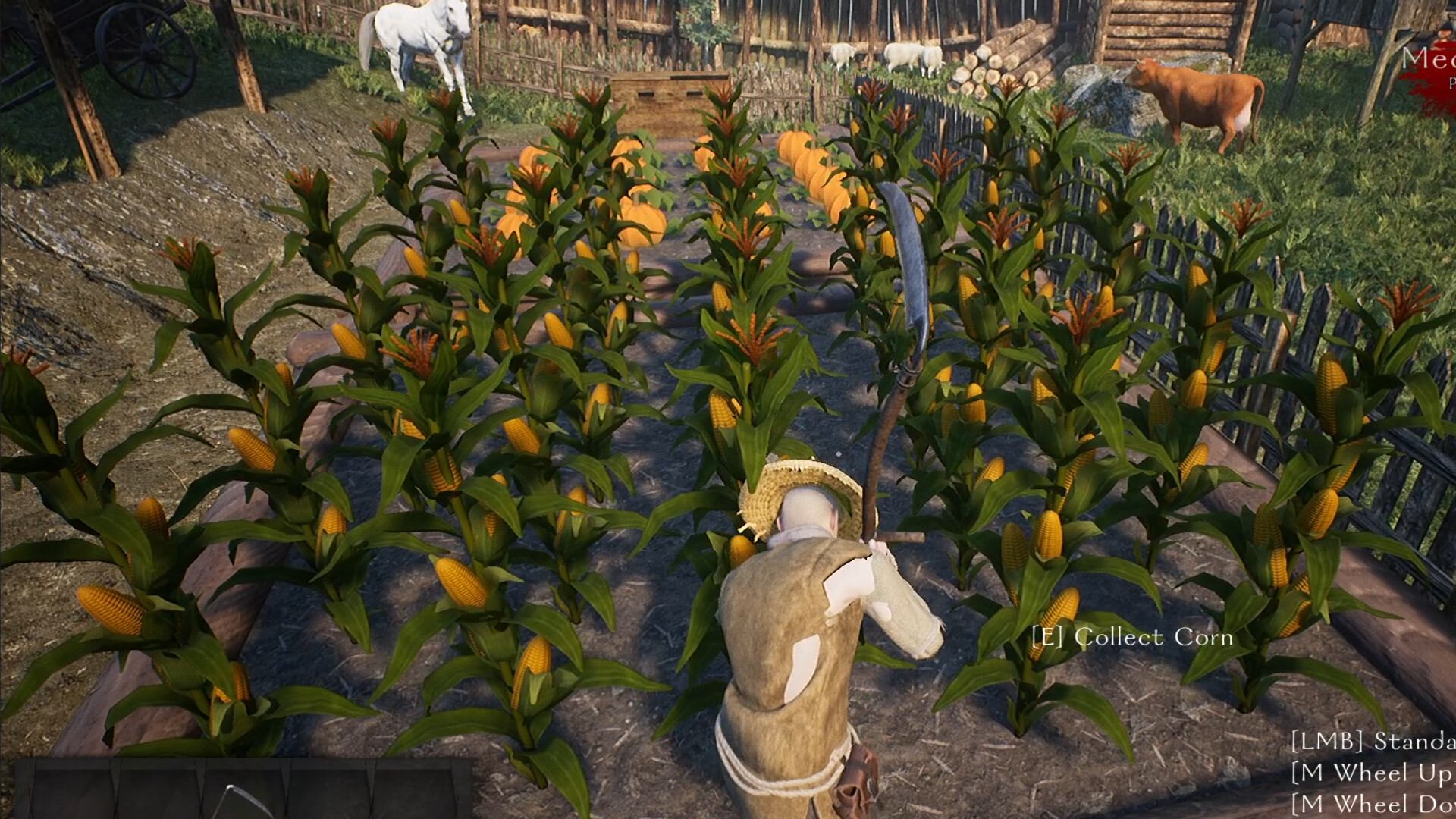 Reign and Ruin screenshot 12
