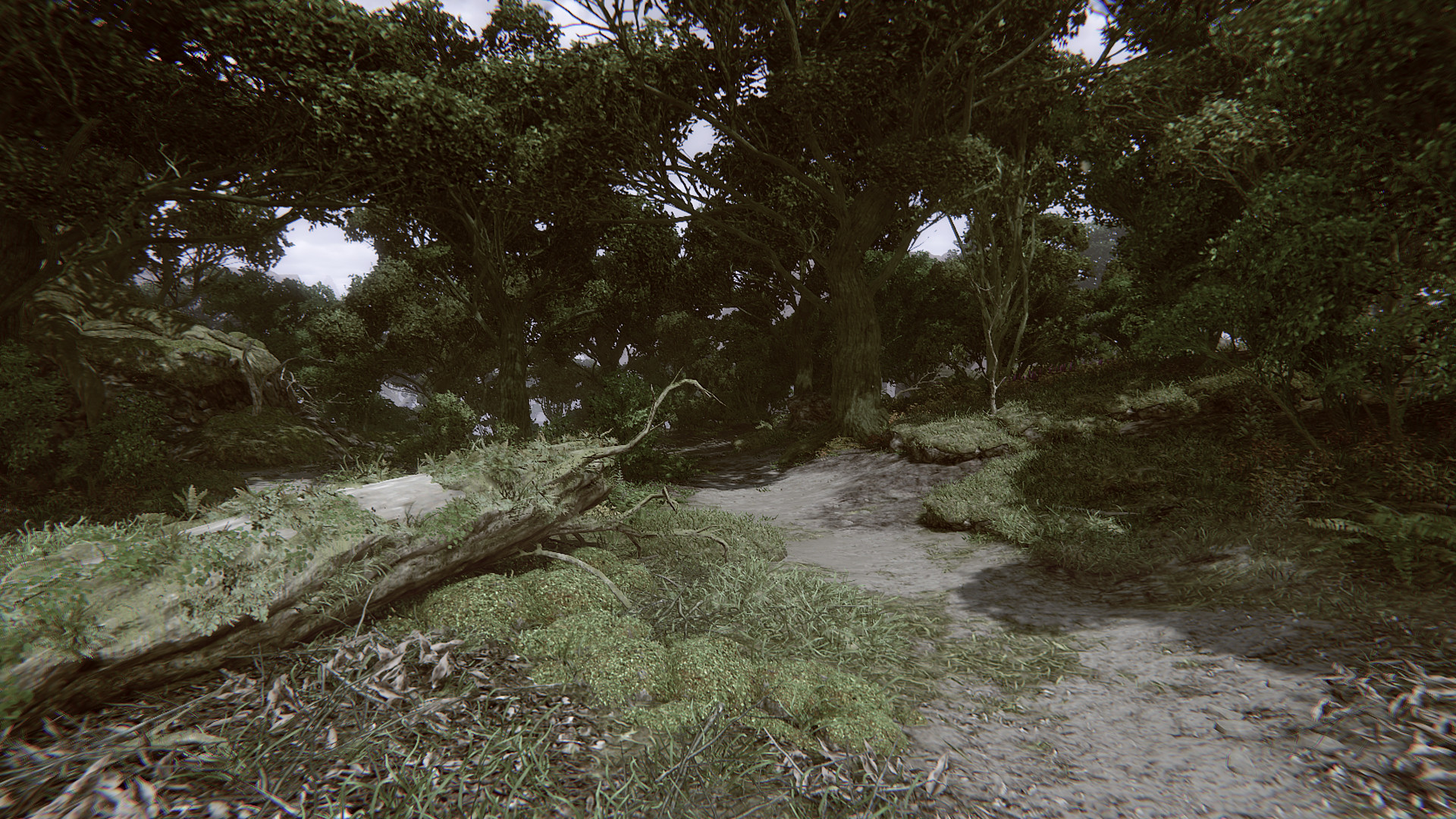 Remote Knights Online screenshot 38