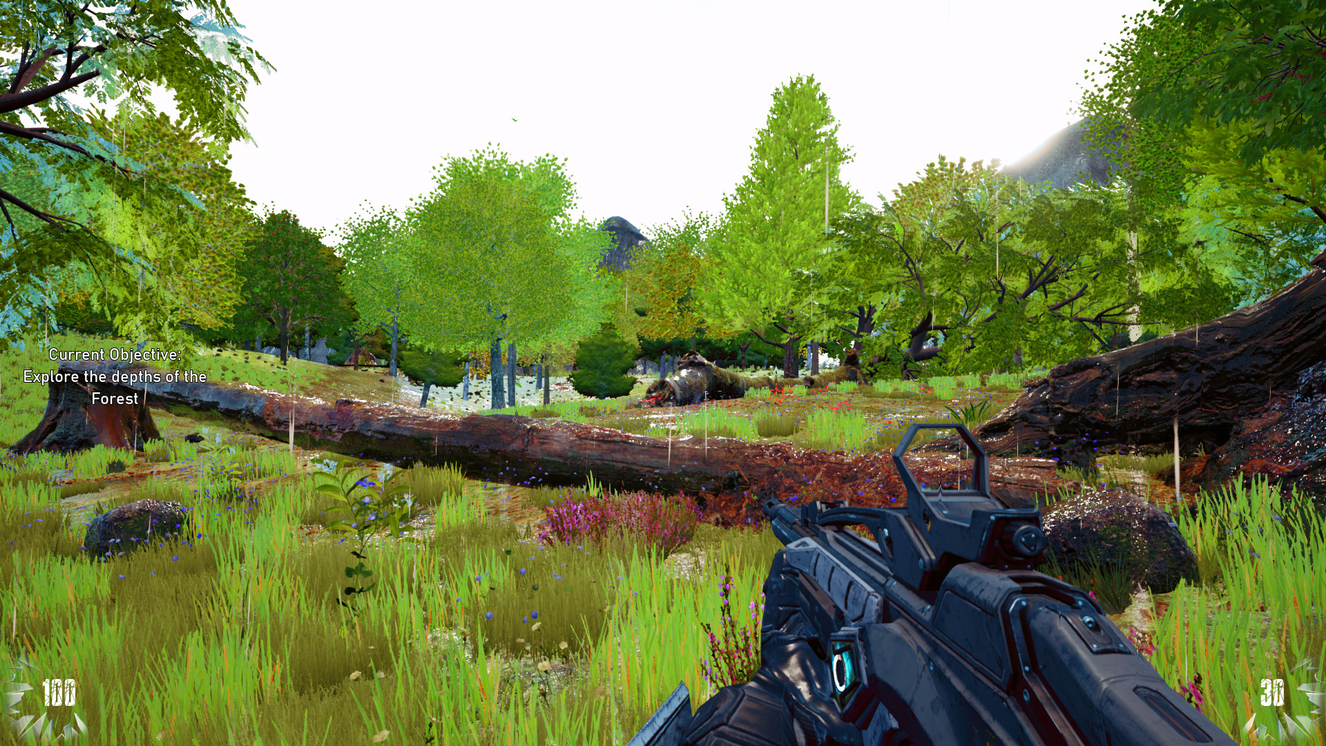 The Seasons Collection: Spring screenshot 11