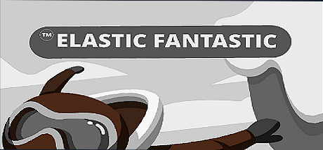 Elastic Fantastic Cover Image