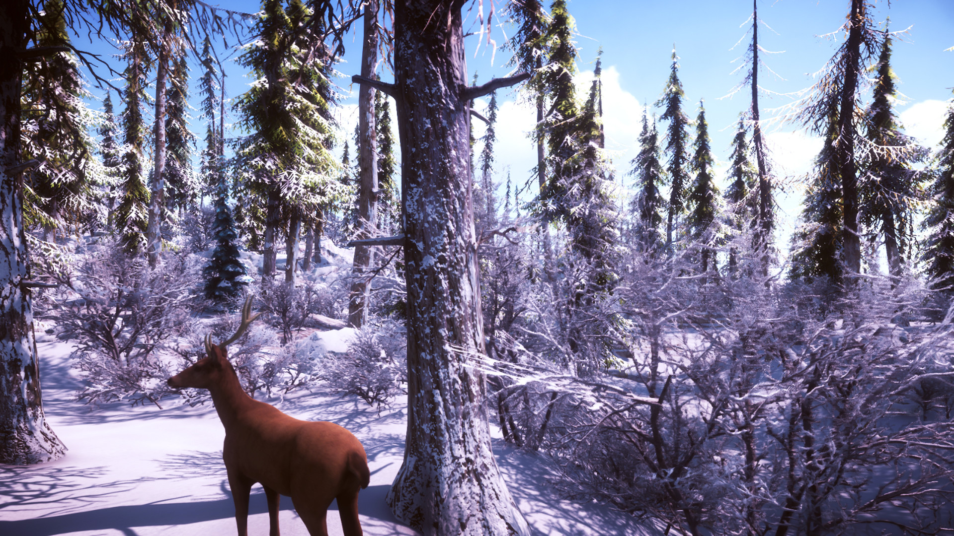 Snow Survival screenshot 6