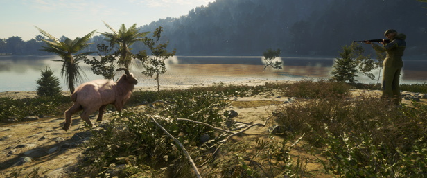 theHunter: Call of the Wild - Te Awaroa National Park thumbnail