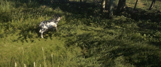 theHunter: Call of the Wild - Te Awaroa National Park thumbnail